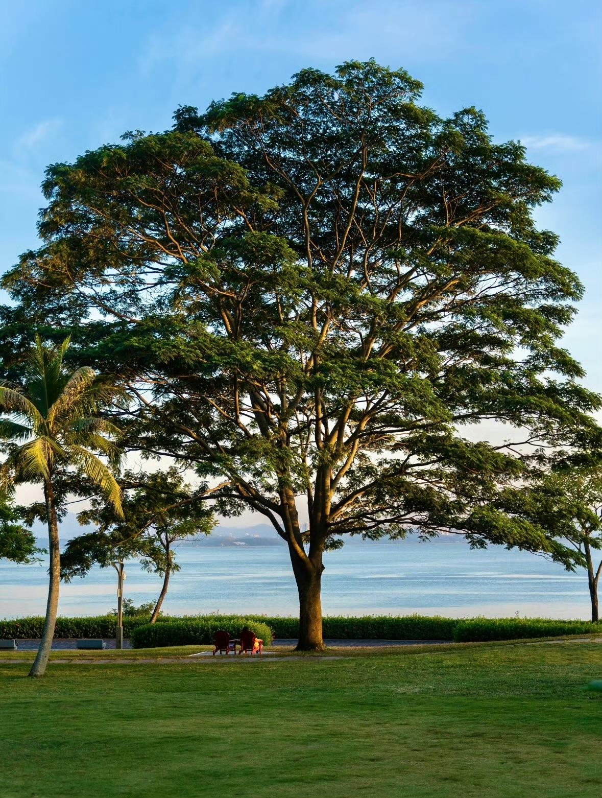 好好生活，其他的都交给时间 ​​​。