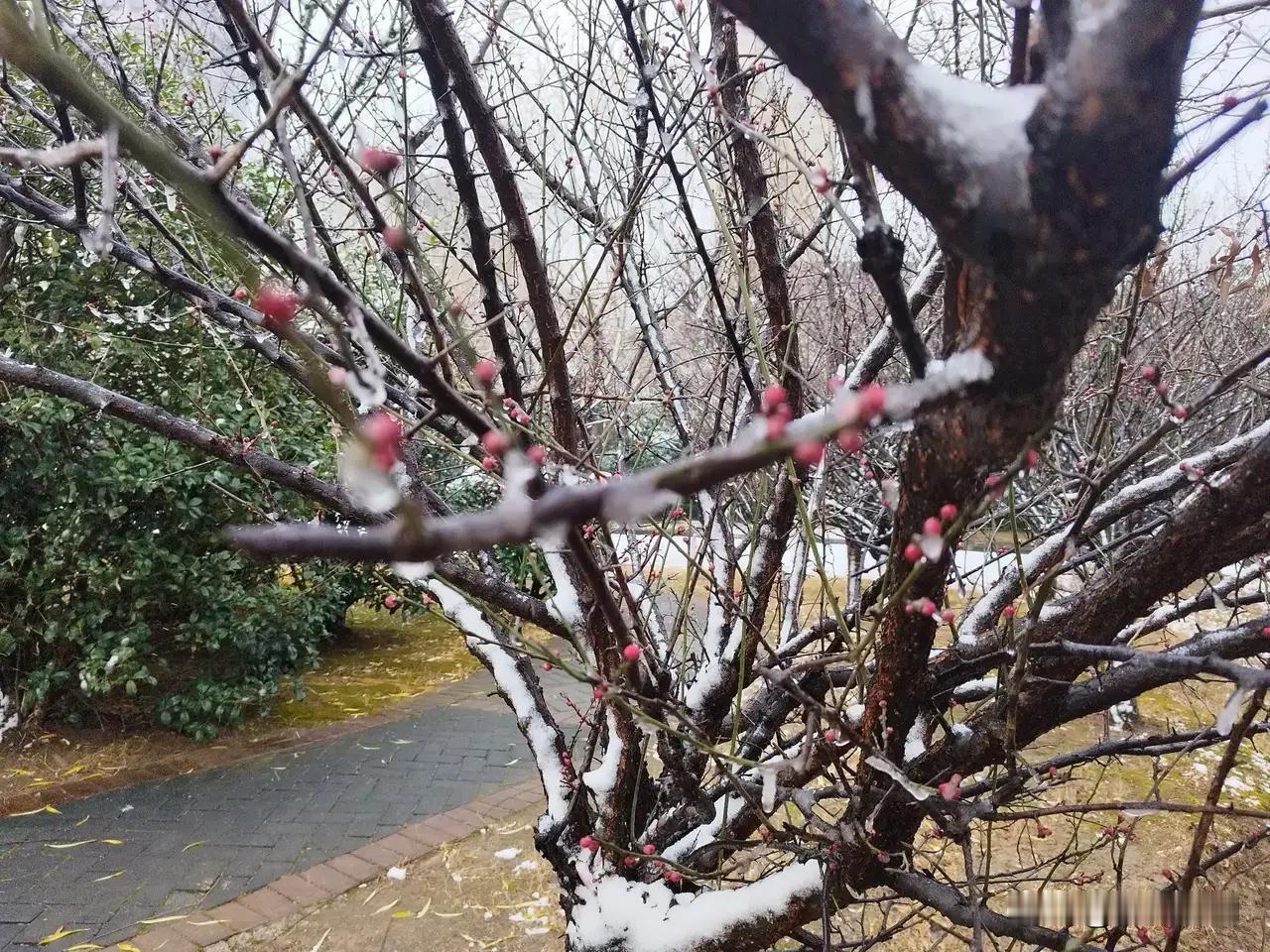 14~18岁“悬崖期”陪跑指南：不硬拽、不撒手，做孩子背后那道“隐形护栏”

