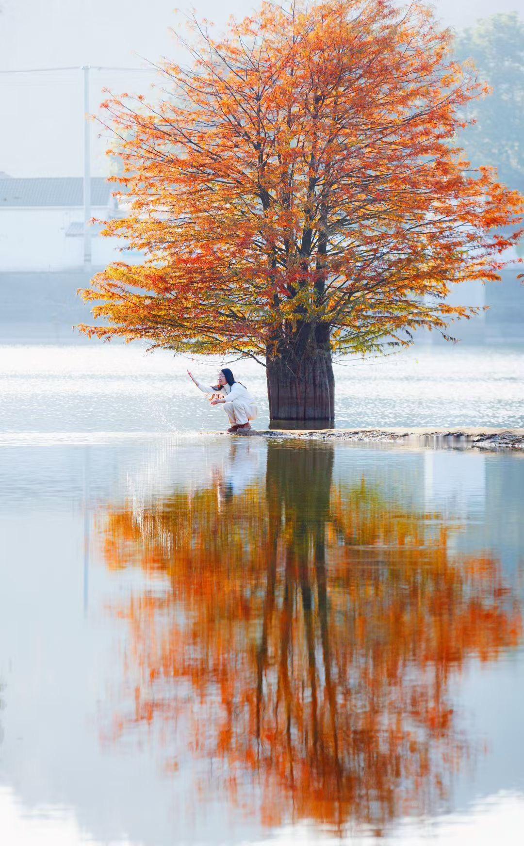 人这一辈子
别光想着攒钱
忘了疼自己啊

人生苦短
本来就够累了
得好好对自己