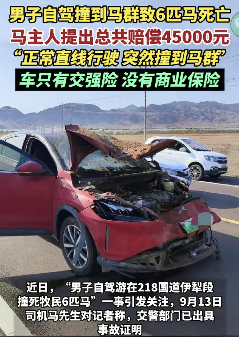 马先生自驾游撞到6位“本家”了！被牧民索赔4.5万，马先生表示委屈，不应该他全责