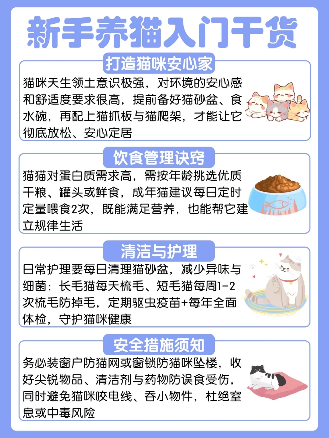 养猫人速进~守护猫猫健康的秘籍速看！