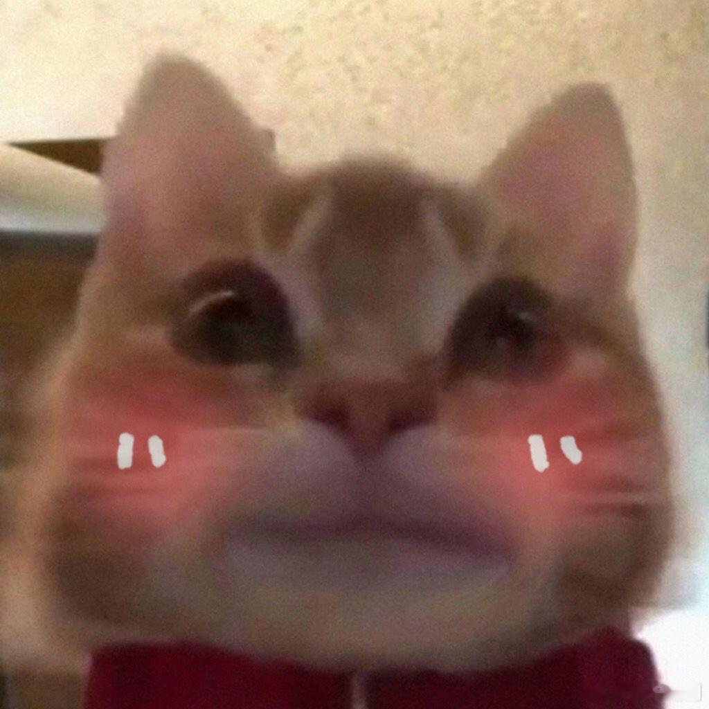 #全球10个小家电6个慈溪发货#7月22日大暑，全球共盼清凉，慈溪小家电以六成发