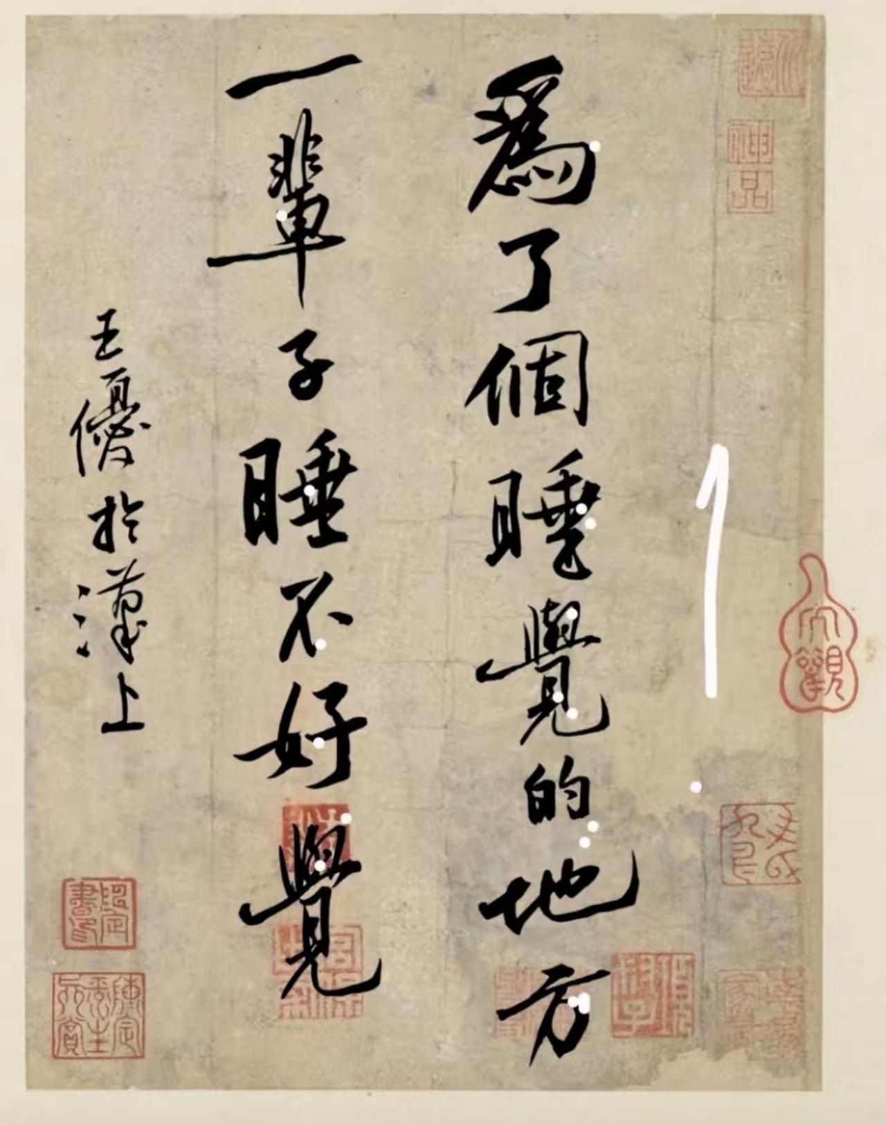 谁不想要一个舒服的窝？