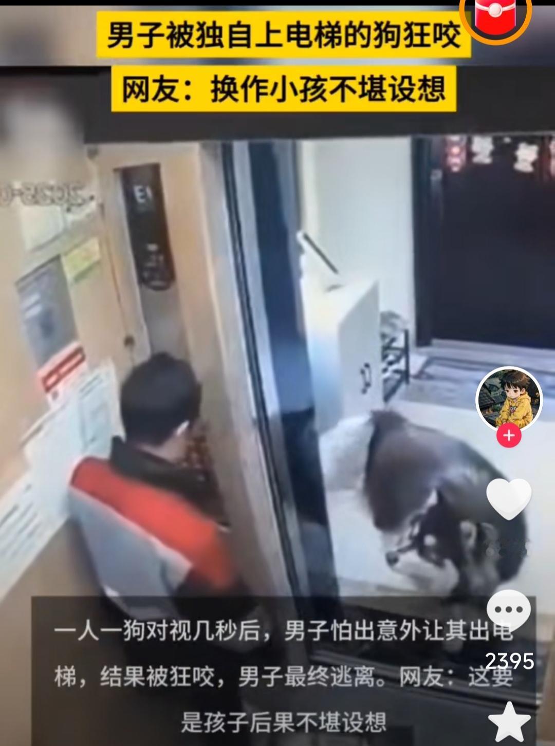 电梯门刚弹开，没栓绳的半人高大狗，直接扑我咬过来！
 
谁懂啊！刚按完电梯，门才