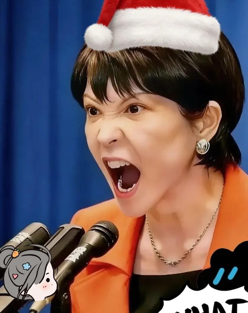 中日经济代表团，访华延期风波。
2024年初，日本三大经济团体访华，突然取消了，