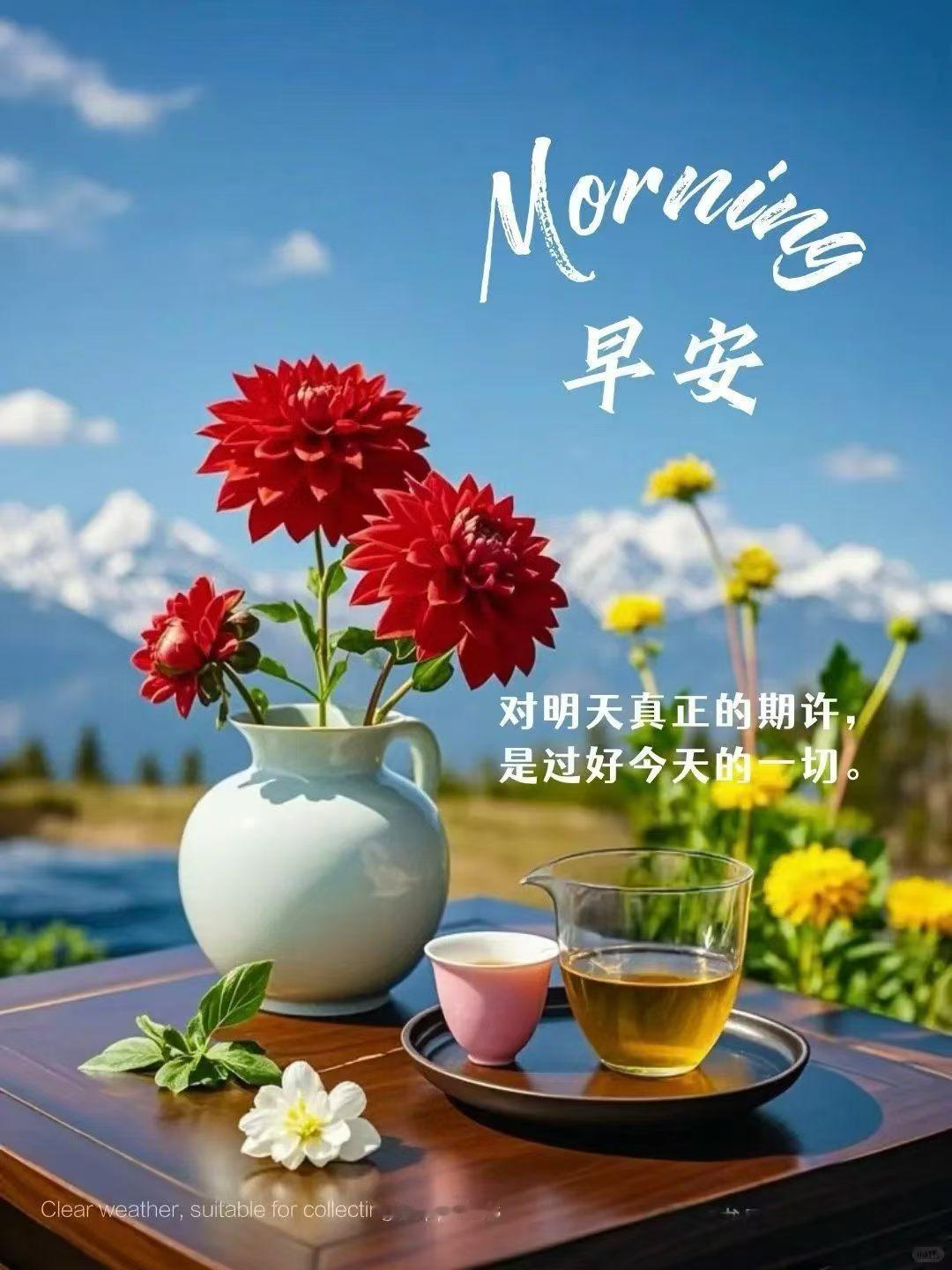 早安，美好的一天从一杯茶开始🌞🌸🍵治愈心情早安山东连续三天好天气。端午假期