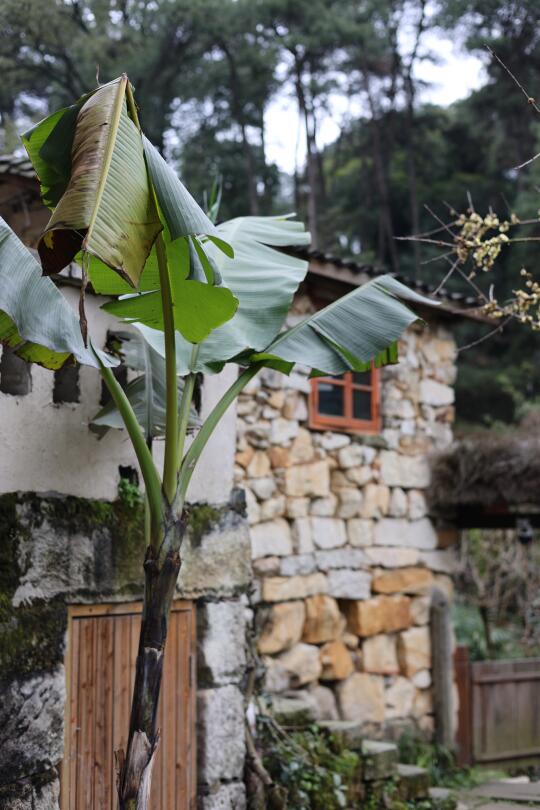 重庆南山别院