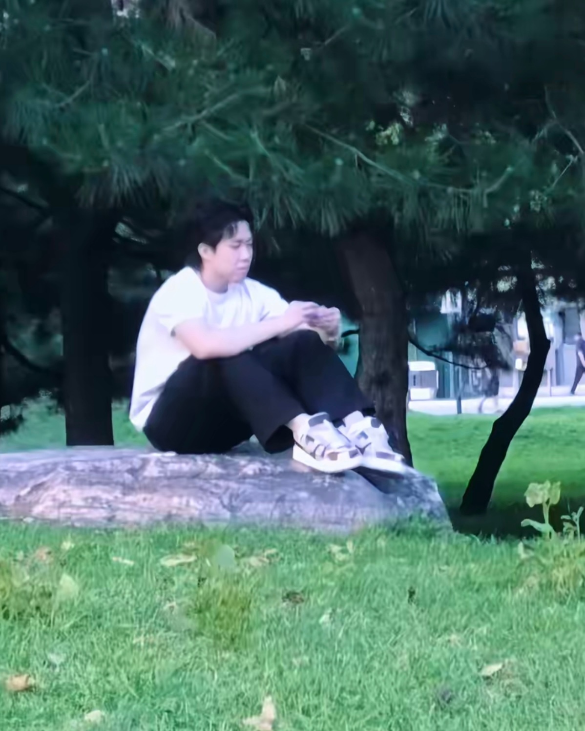 咋这萌 