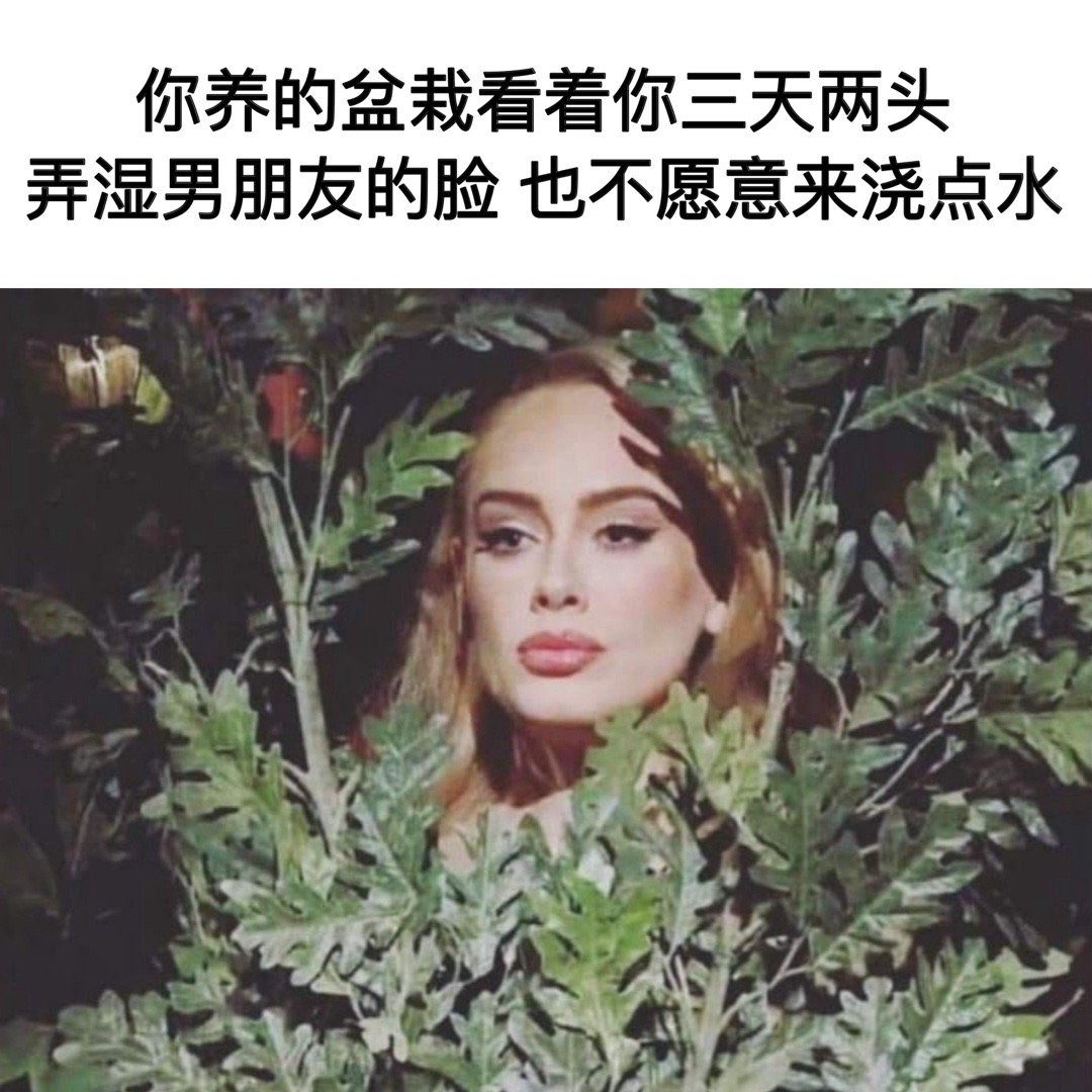 雨露均沾好吧#meme# ​​​