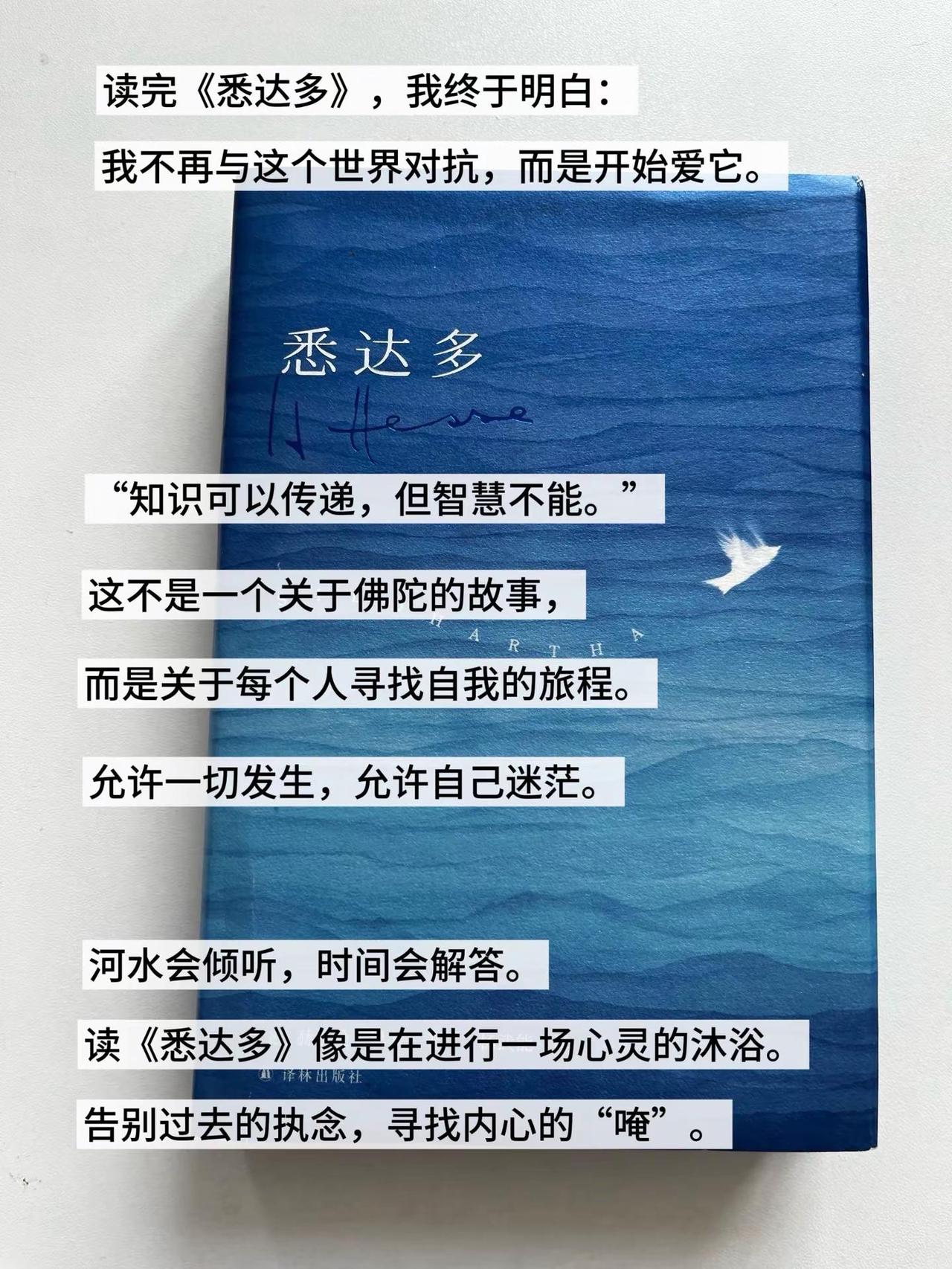这本书治好了我的精神内耗。不是教你成功，而是教你接纳。悉达多 做自己的悉达多
