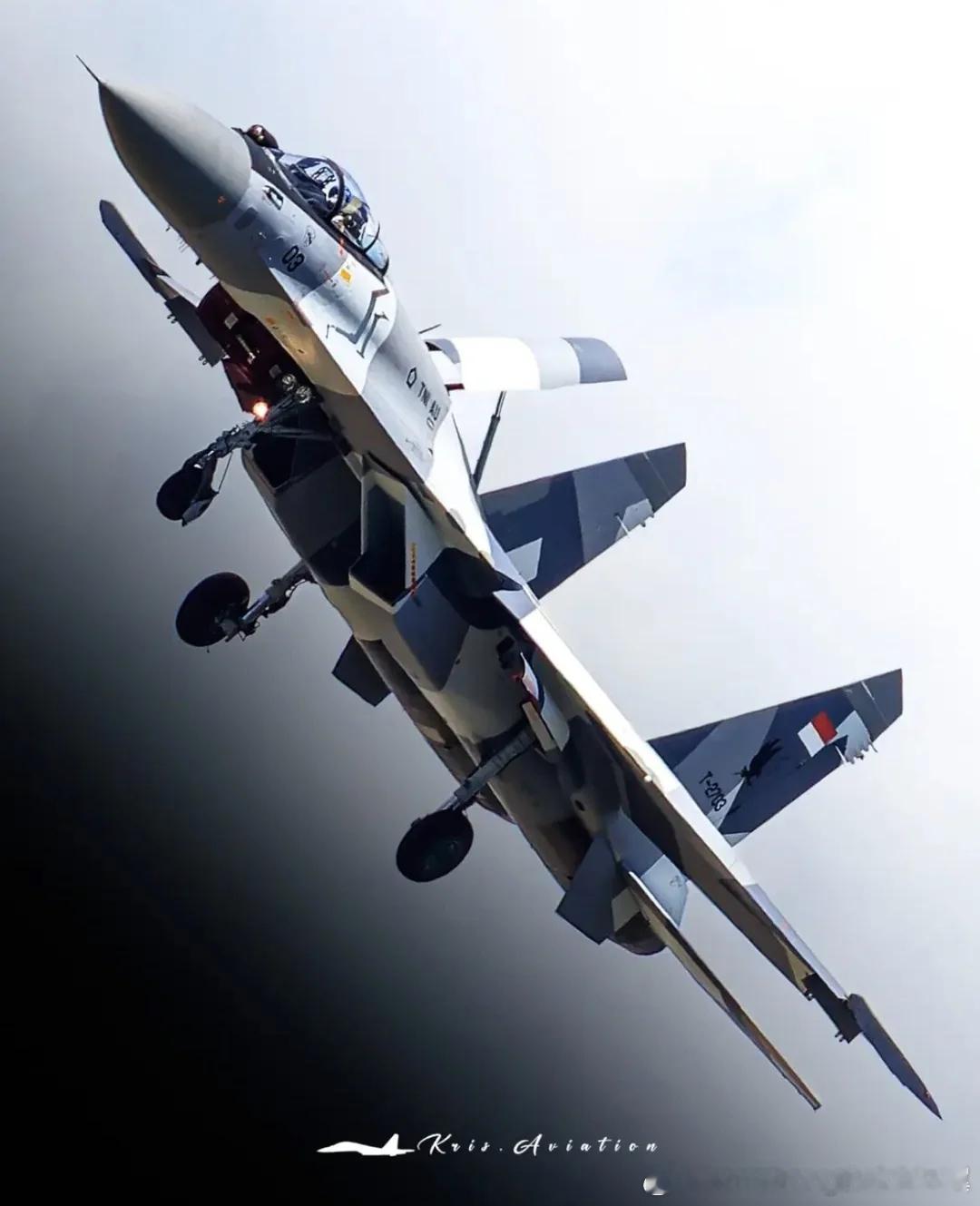 烽火问鼎计划 印尼空军苏-27SKM T-2703和T-2704的新型碎片迷彩。
