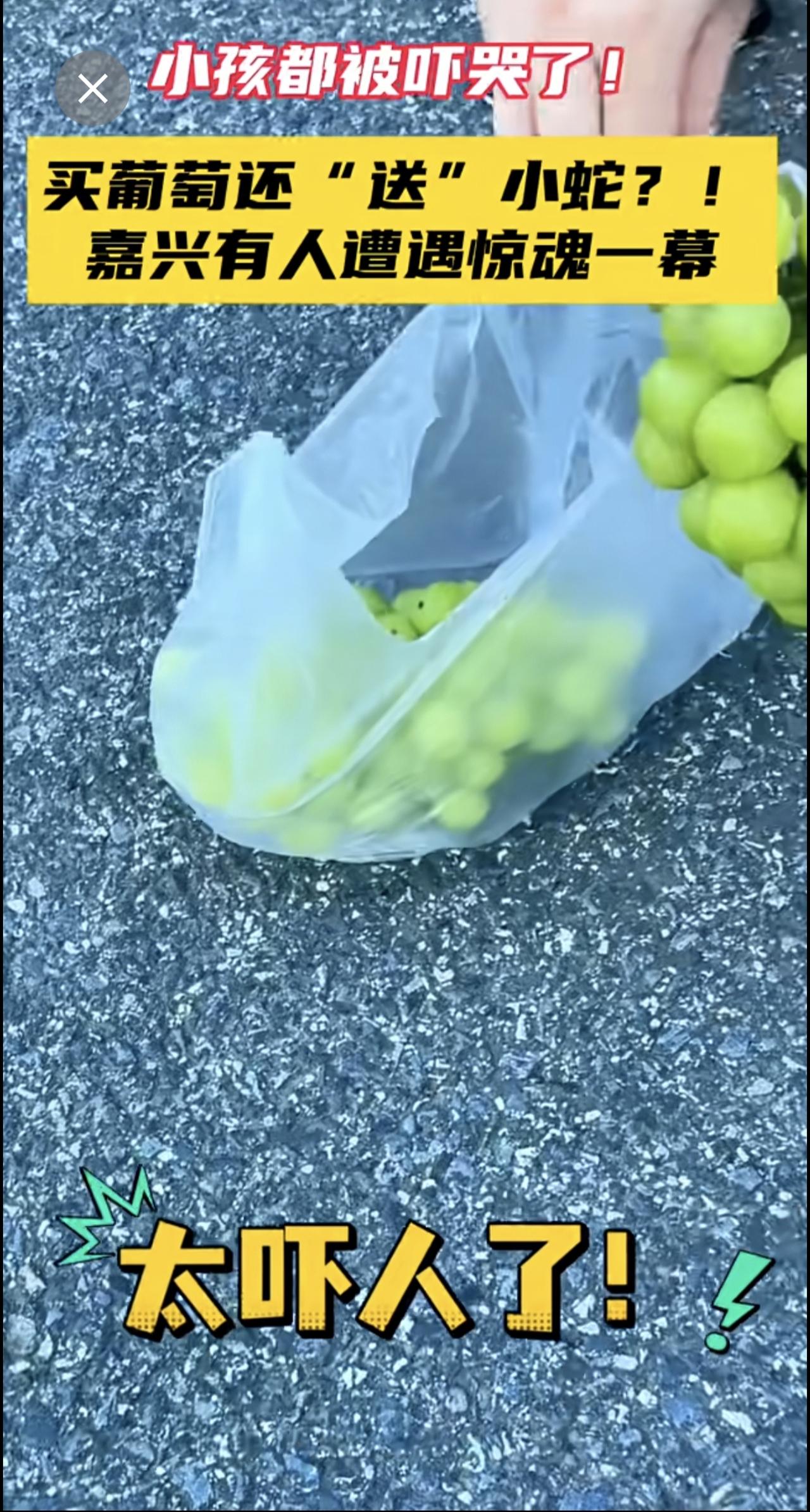 买葡萄还“送”小蛇？！嘉兴有人遭遇惊魂一幕！小孩都被吓哭了...