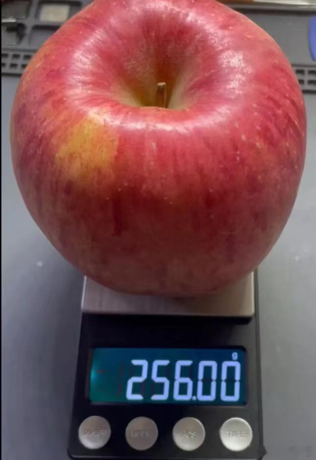 iPhone18换一万斤粮食今年的苹果很好买啊，我都没有抢，直接下单就有了，买了