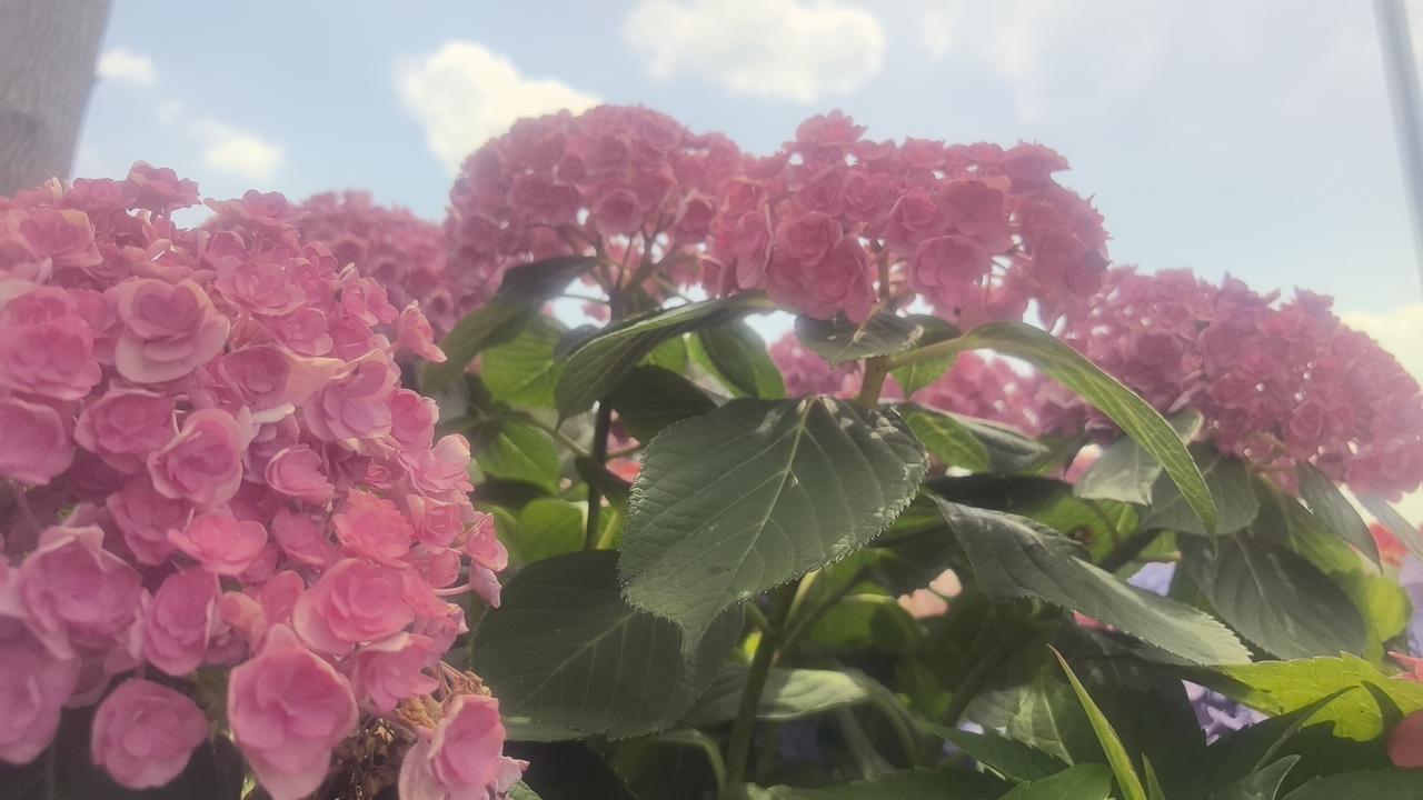 没有任何人相信，我这一贯喜欢赚钱的人。突然之间就辞去所有的工作，计划出去旅行了。