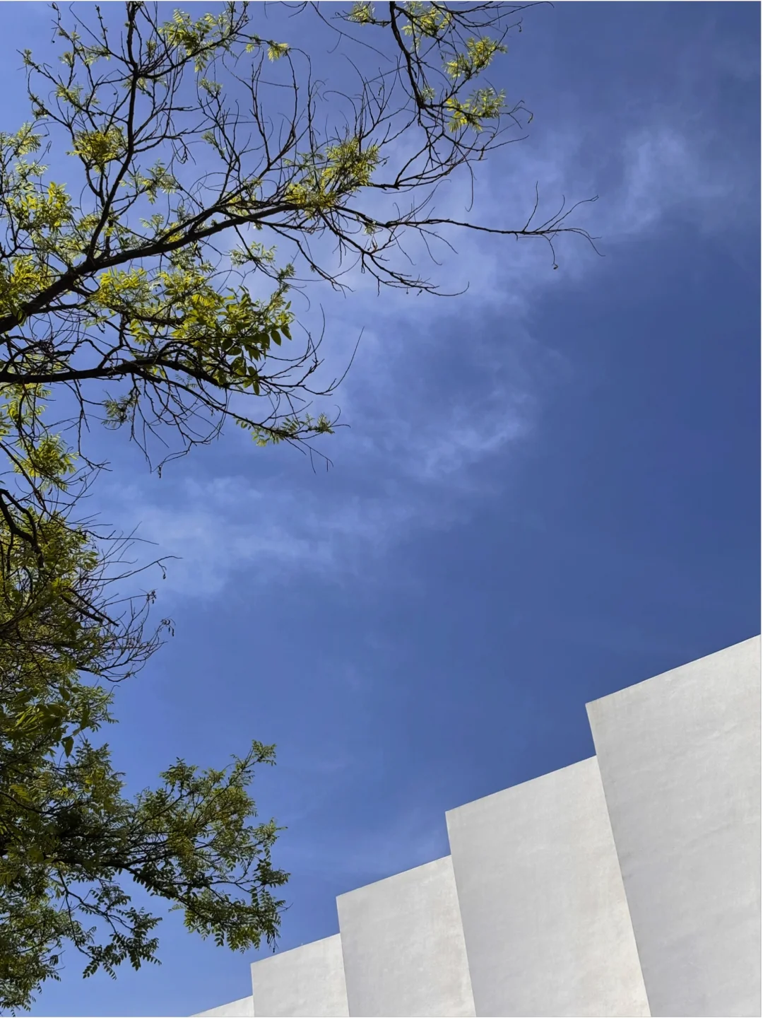 女生一定要有个喜欢的男生来调节你的荷尔蒙