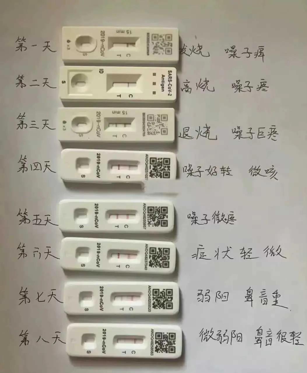 参考参考已阳的  