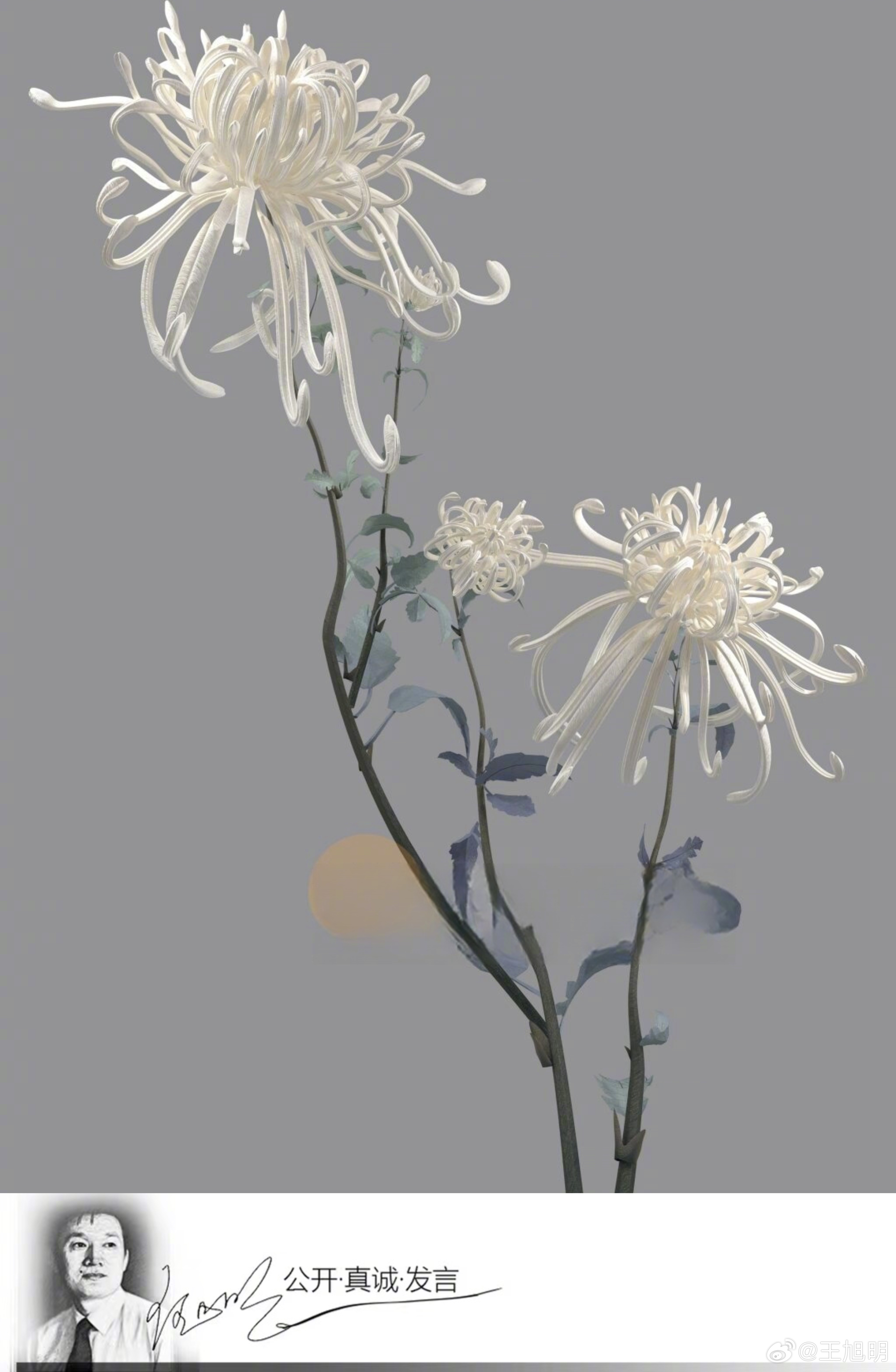 #明思#据报道，清华大学新闻与传播学院退休教师刘惠芬副教授，因病医治无效，于20