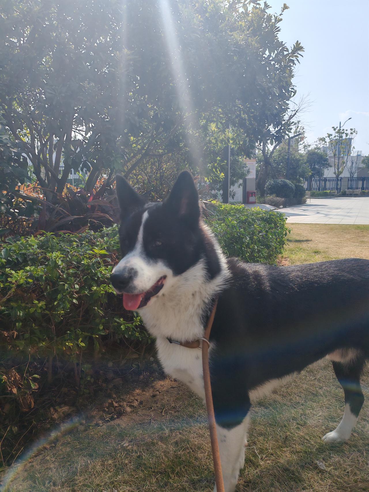 市场操作难度加大，尤其是面临巨大外部事件时，逻辑与分析是否能快速跟上且快速变化。