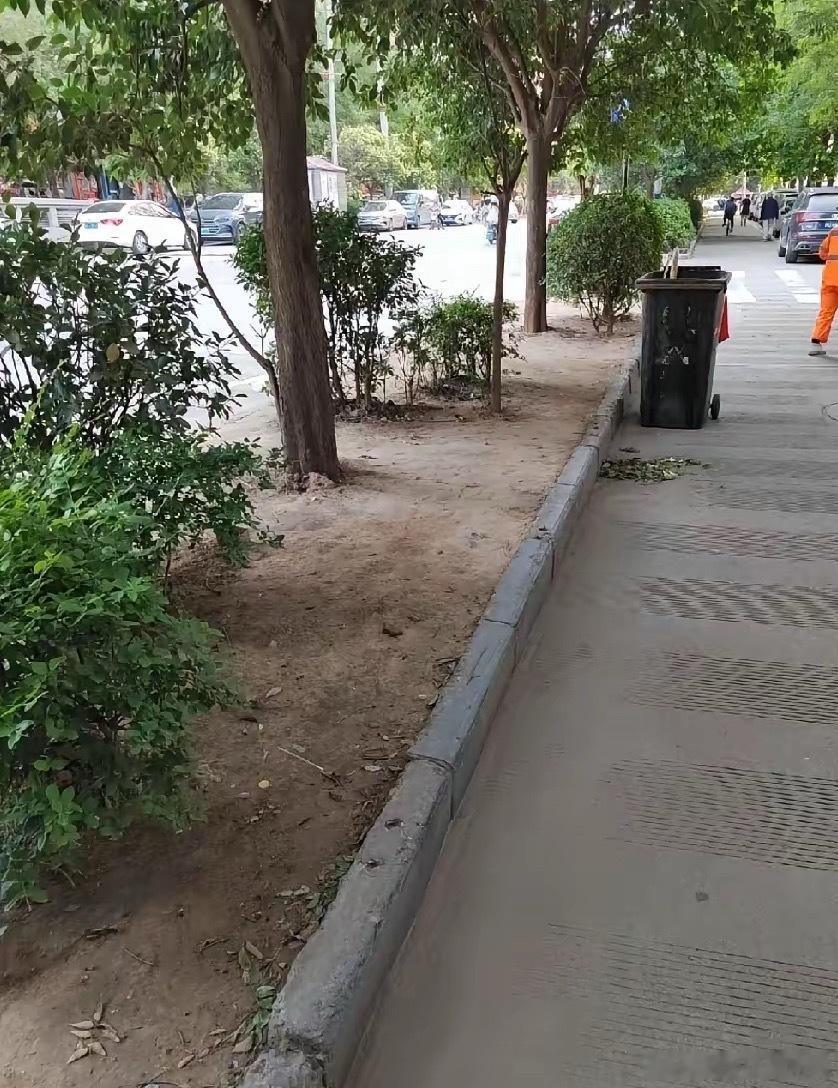 大家发现了吗？今年的高考生太反常了。高考都结束好几天了，但是街道到处却看不到学生