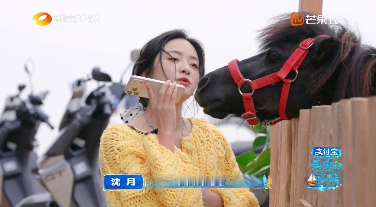沈月何炅双向奔赴太好哭了 太治愈的一对忘年交！何炅像家人一样呵护包容沈月，给她温