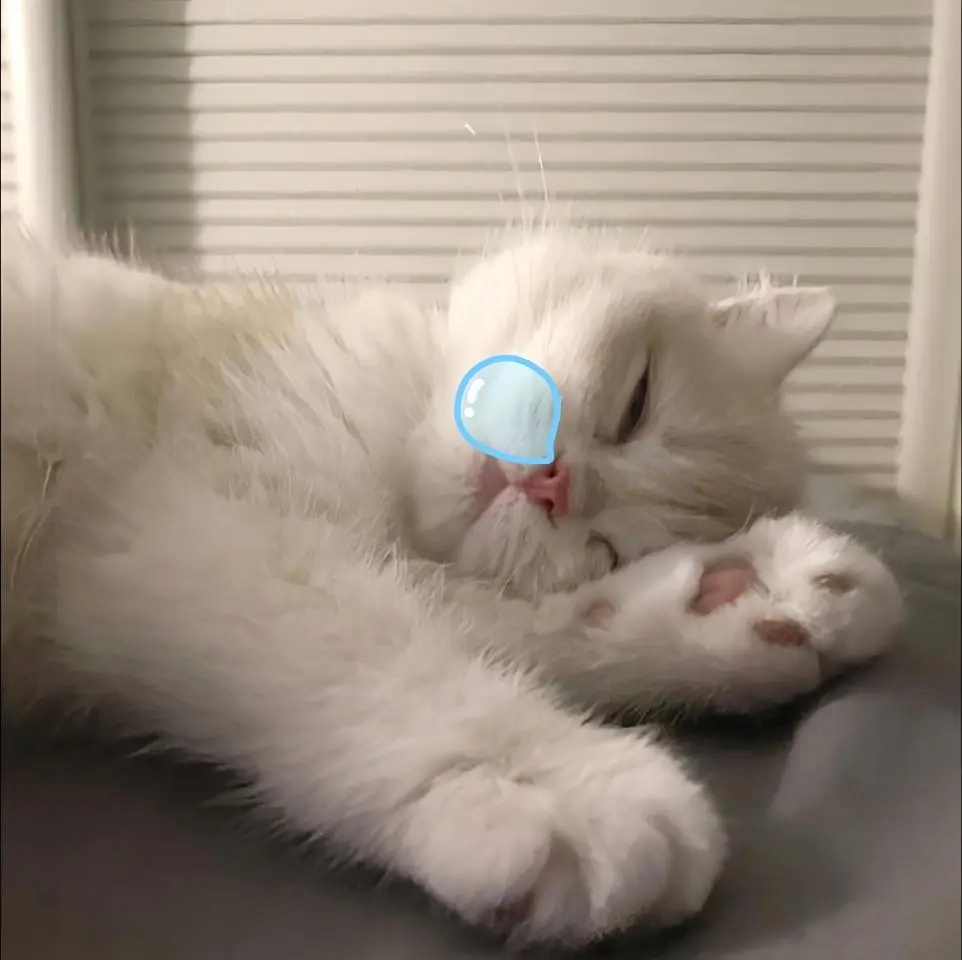 𝐒𝐡𝐚𝐫𝐞丨猫猫情头 