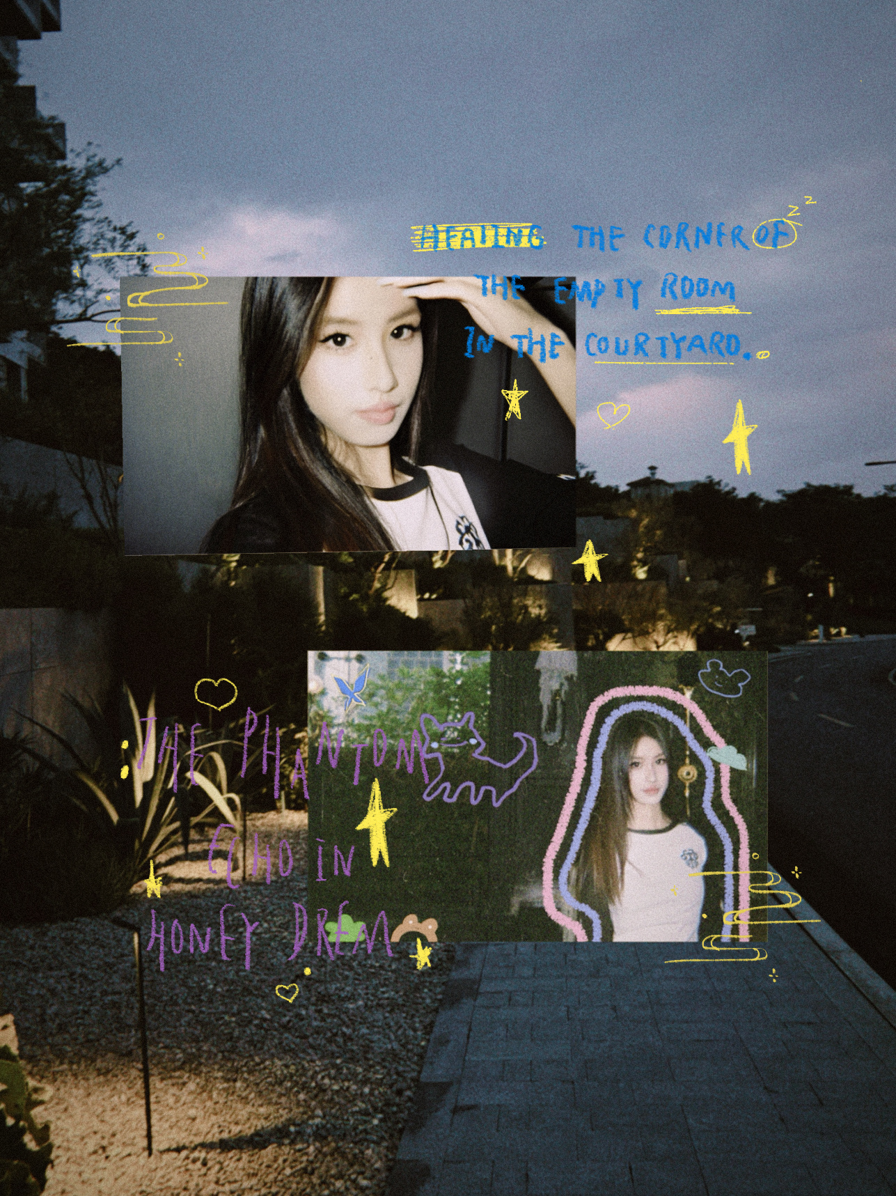 🎞️Nov.| film archives 