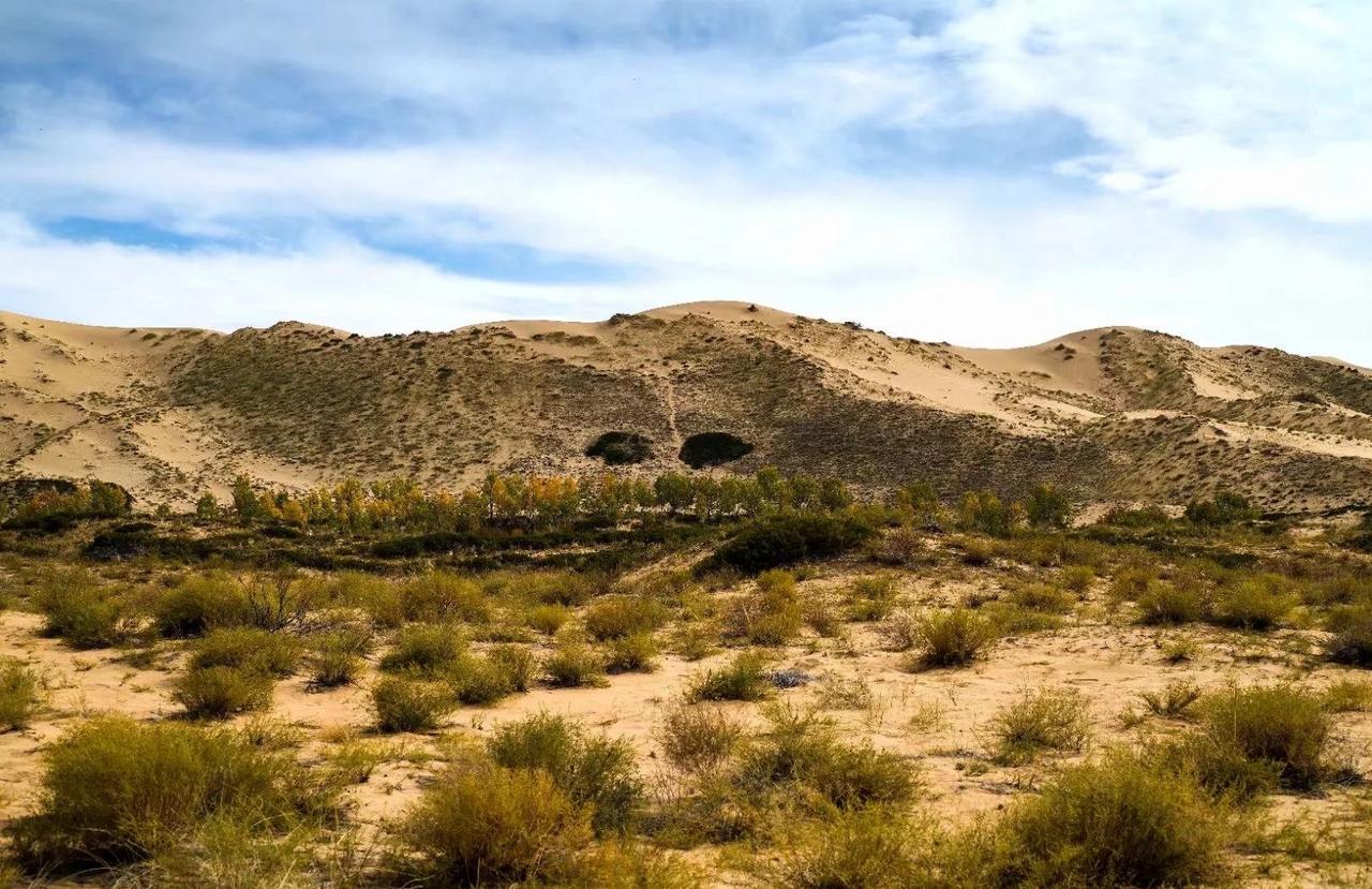 央视这两天报道的新疆新发现的萨尔托海的铬铁矿和油气田在新疆的什么地方呢？我查了一
