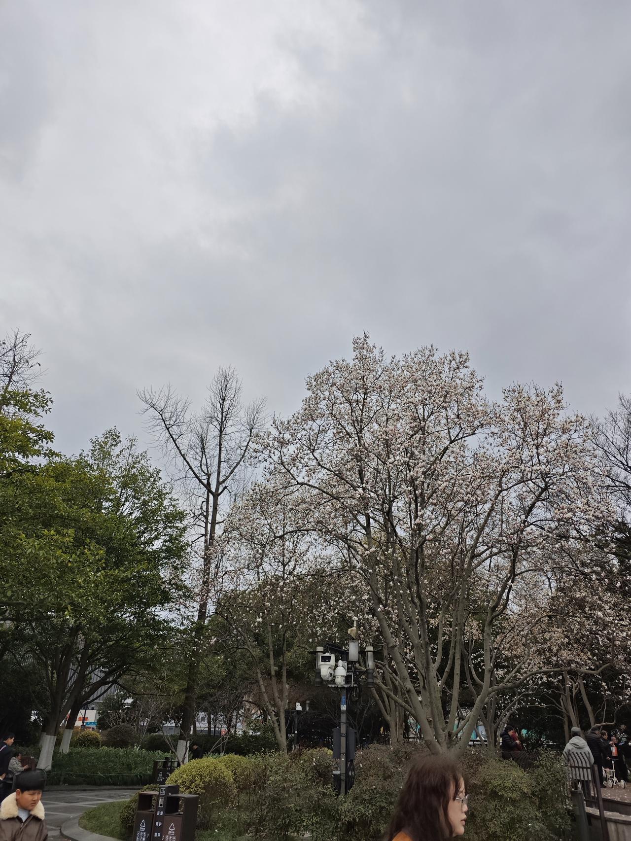 美国的目标其实非常明确，先搞烂欧洲，再搞乱中东，然后搅乱亚洲。不明白的是为何各方