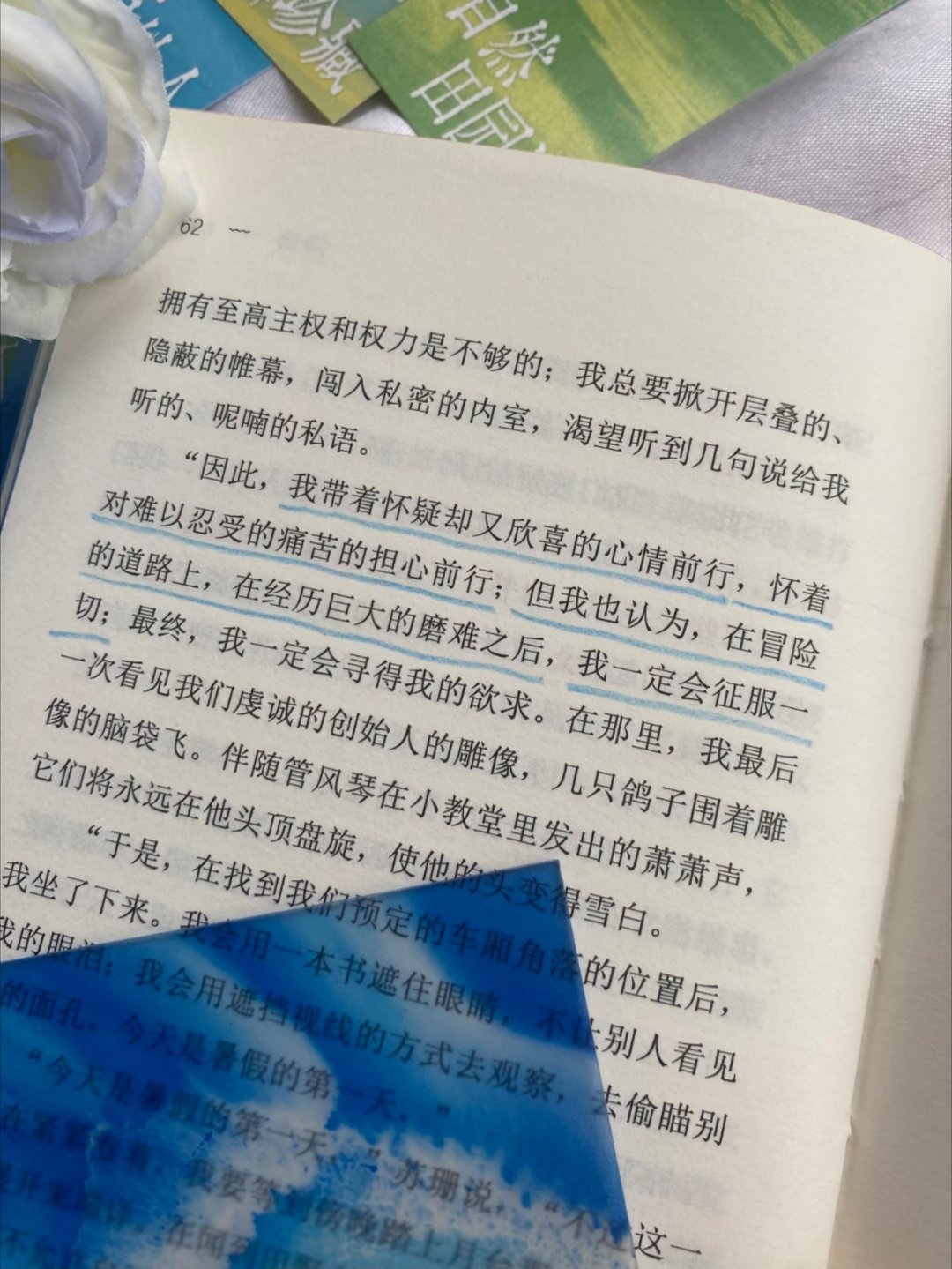 太美太通透了！ 