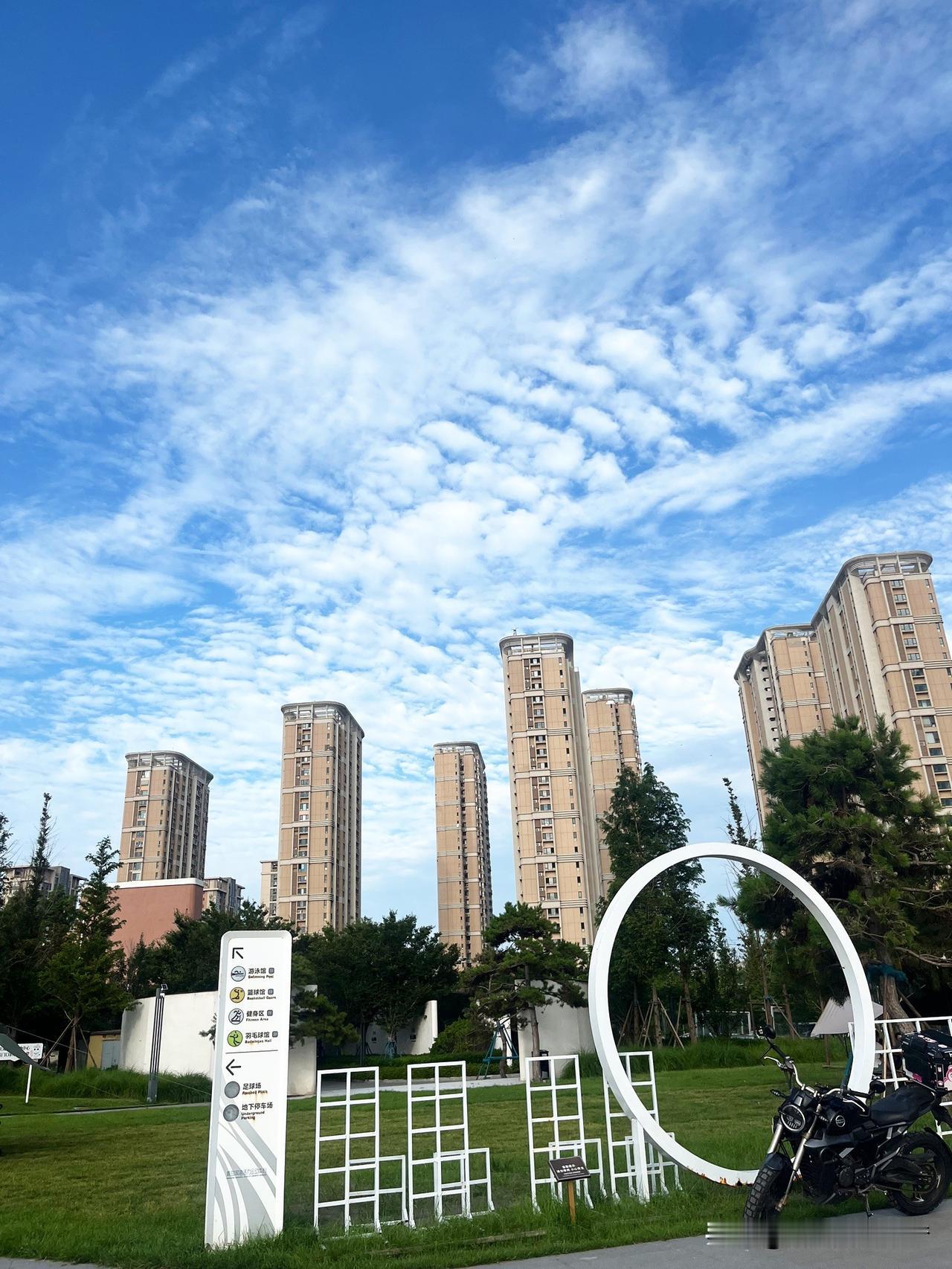 苏芩说：“一个人真正独立起来是一件特别可怕的事情。因为无所期待，也就无所畏惧，从