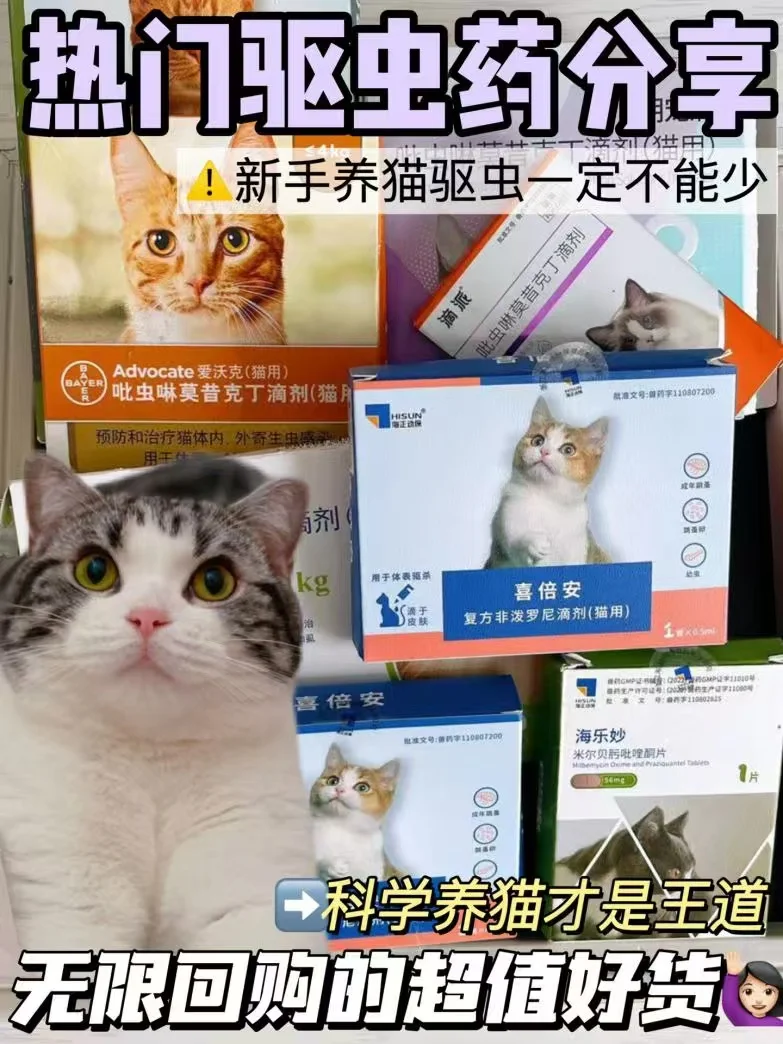 不按时驱虫会给猫咪带来哪些危害？