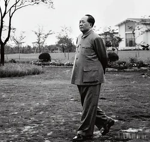 1966年，武汉发生了“7.20”事件。
一天，毛主席和杨成武在林荫道上散步。毛