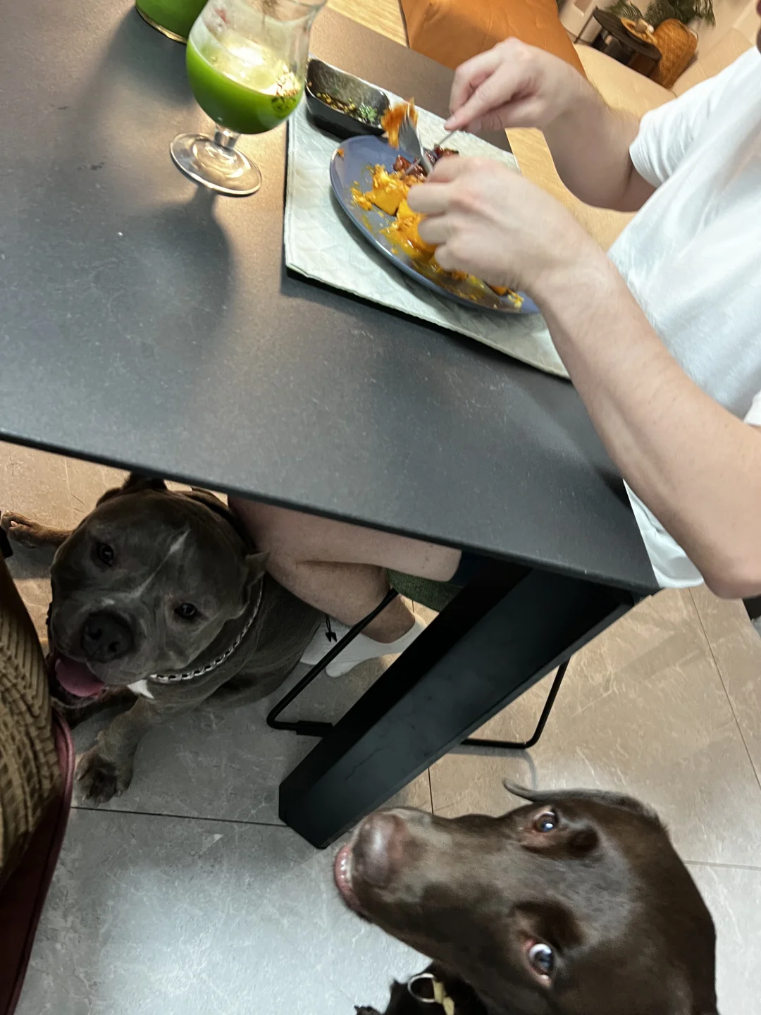 是的 我们好饿 饿了好几分钟了