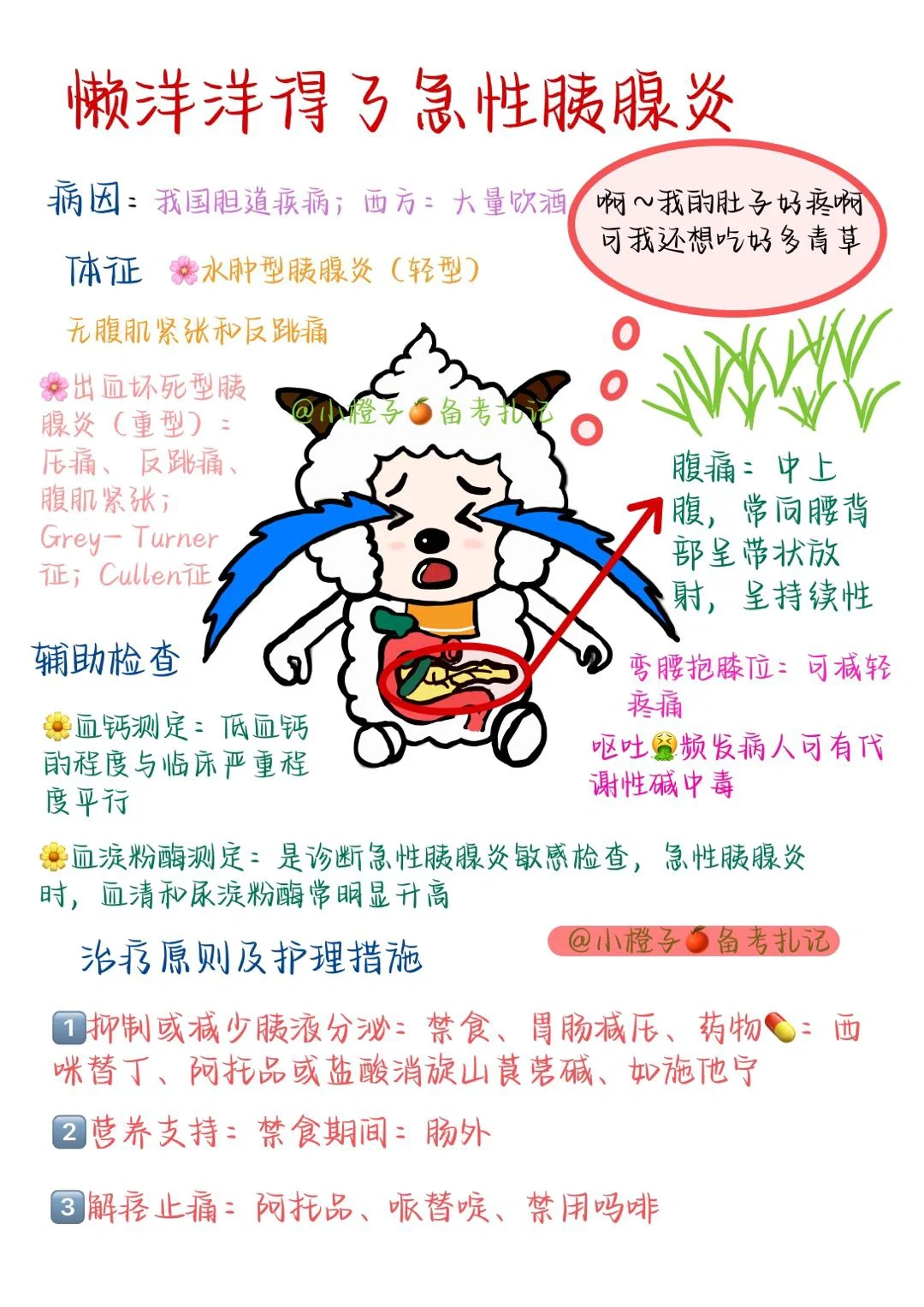 📖护师笔记｜内科护理学｜急性胰腺炎😫