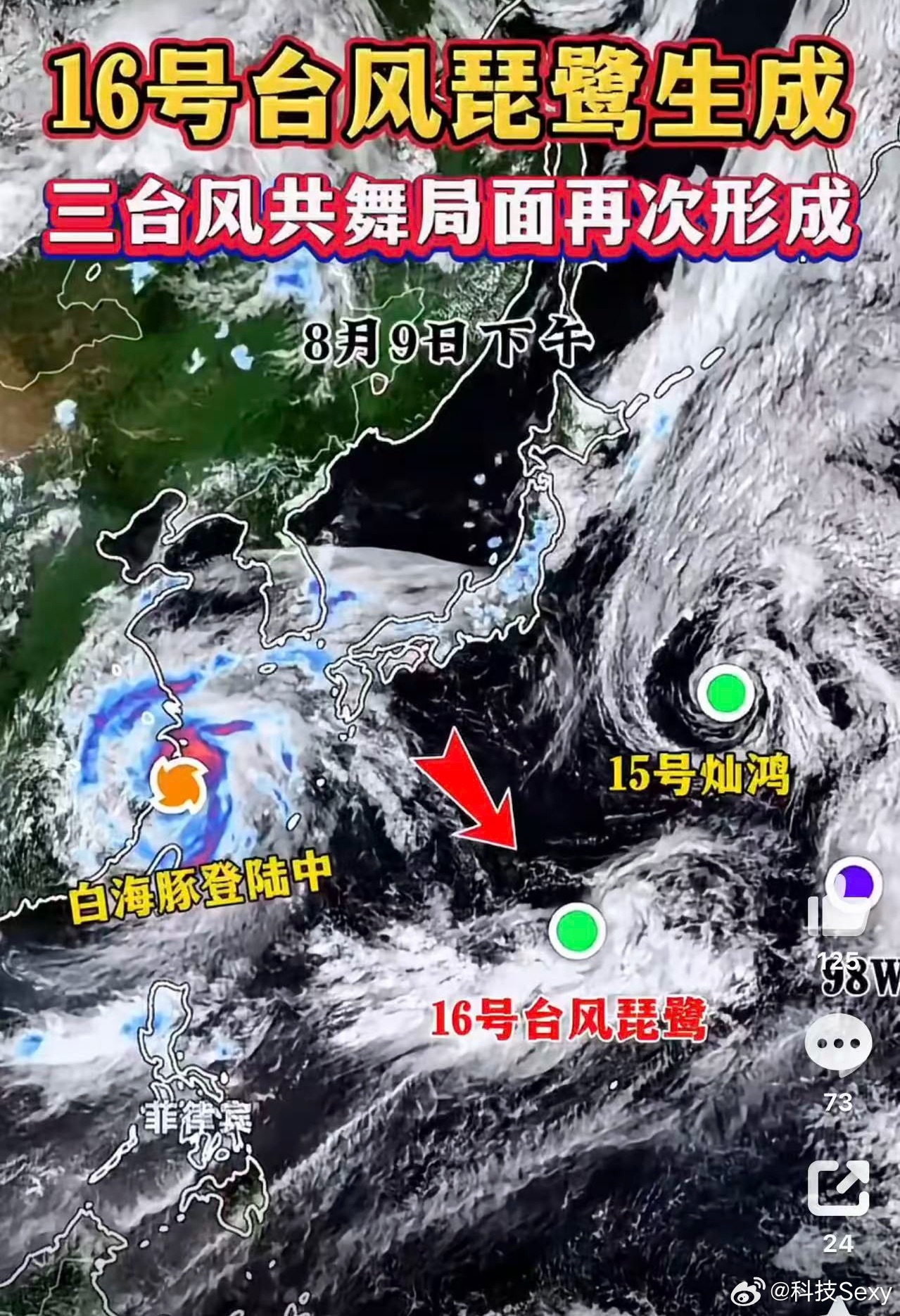 后面还有3个台风是不是都不用上班了白海豚 上班白海豚 上班