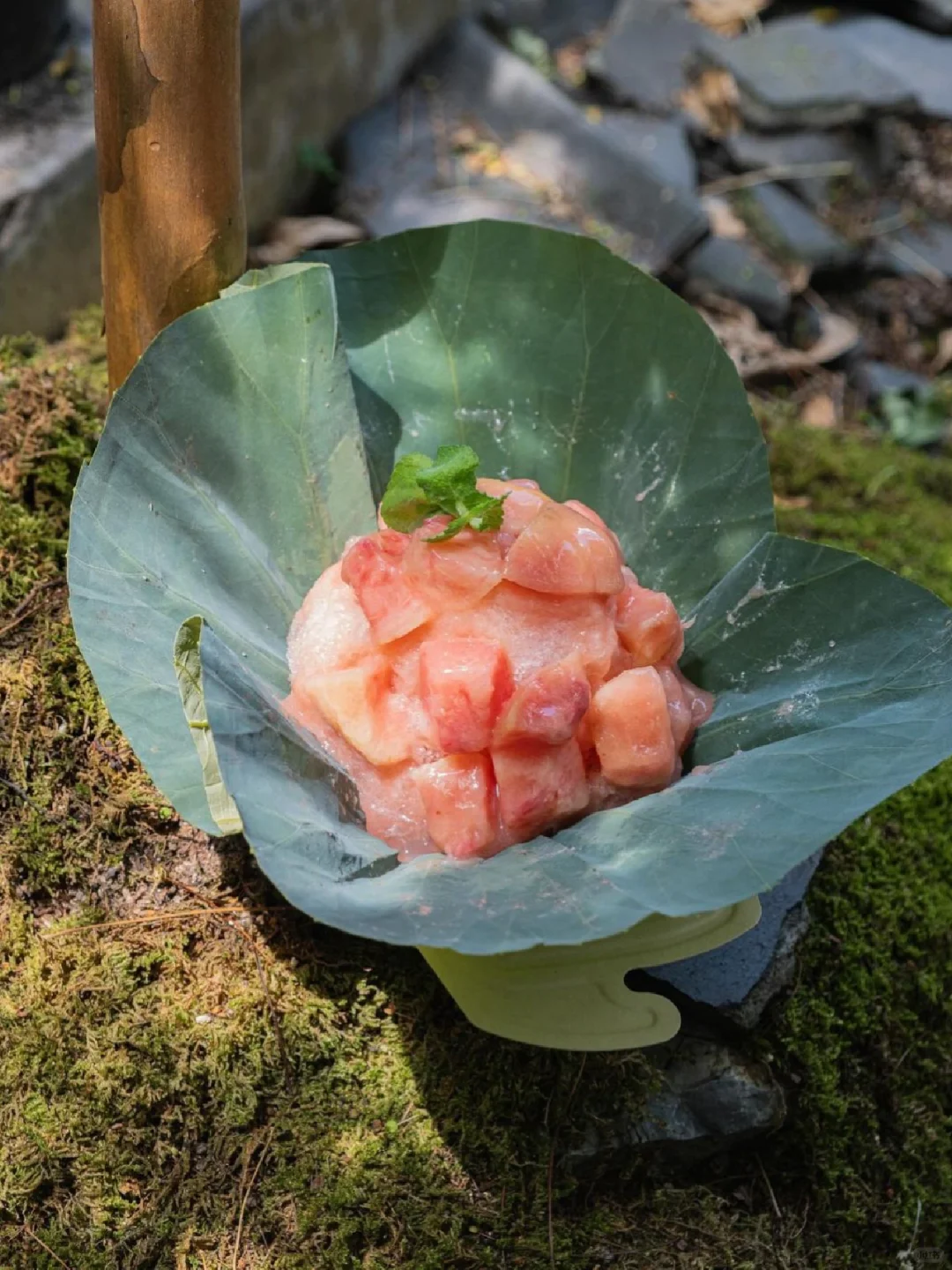 🇰🇷大邱不要错过的荷叶冰……