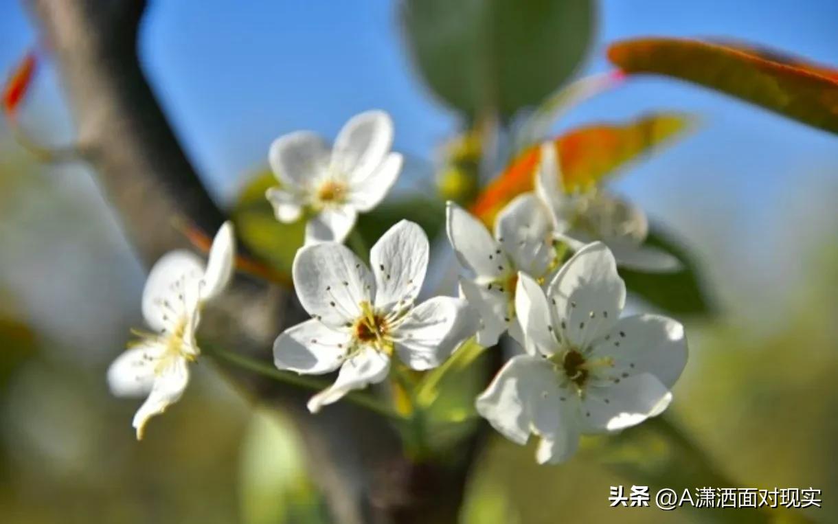 夫妻之间的争吵似乎成为一种常态。无论是小事的争执还是大事的冲突，这种现象不仅会影