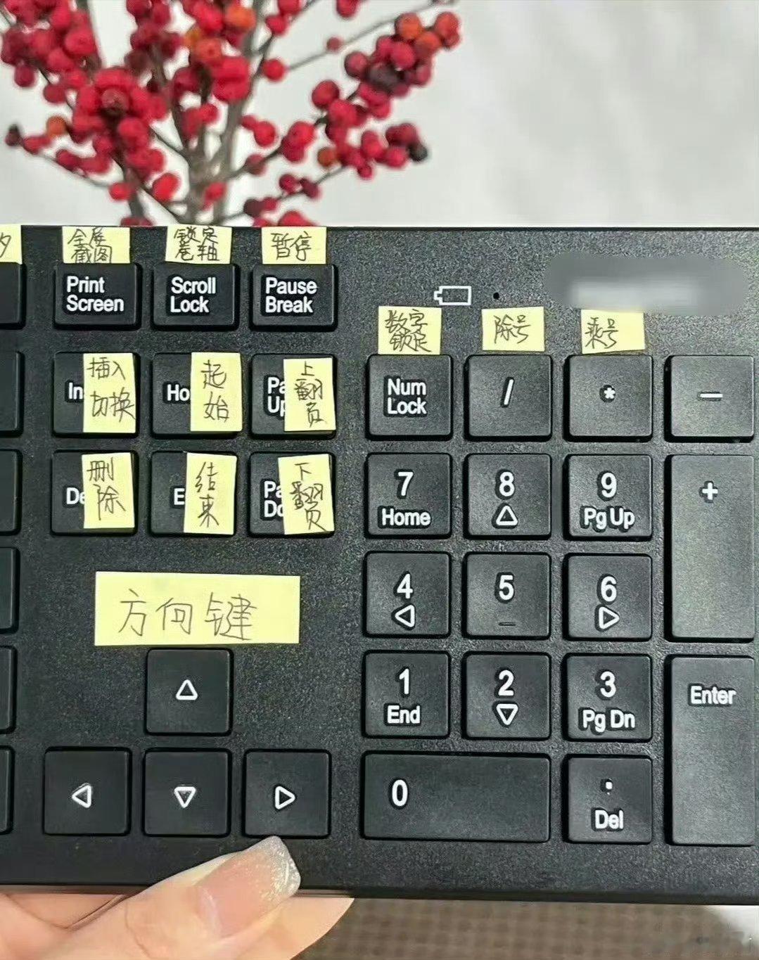 终于有人一次性把电脑键盘说清楚了 