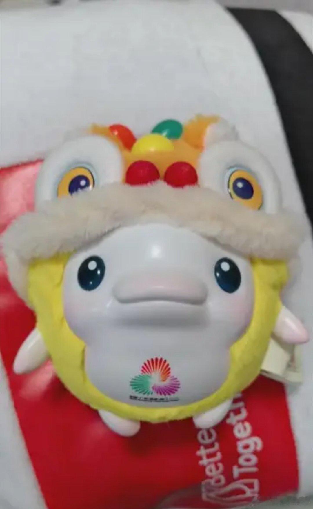 我也来展示一下我的大湾鸡。