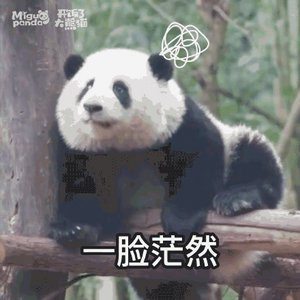 为什么没有东风51军迷朋友呢，来帮忙科普一下。还有一直传的41改。。 ​​​