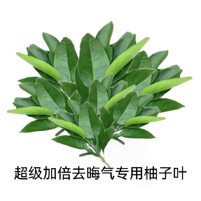 去晦气柚子叶 加大剂量🙏 