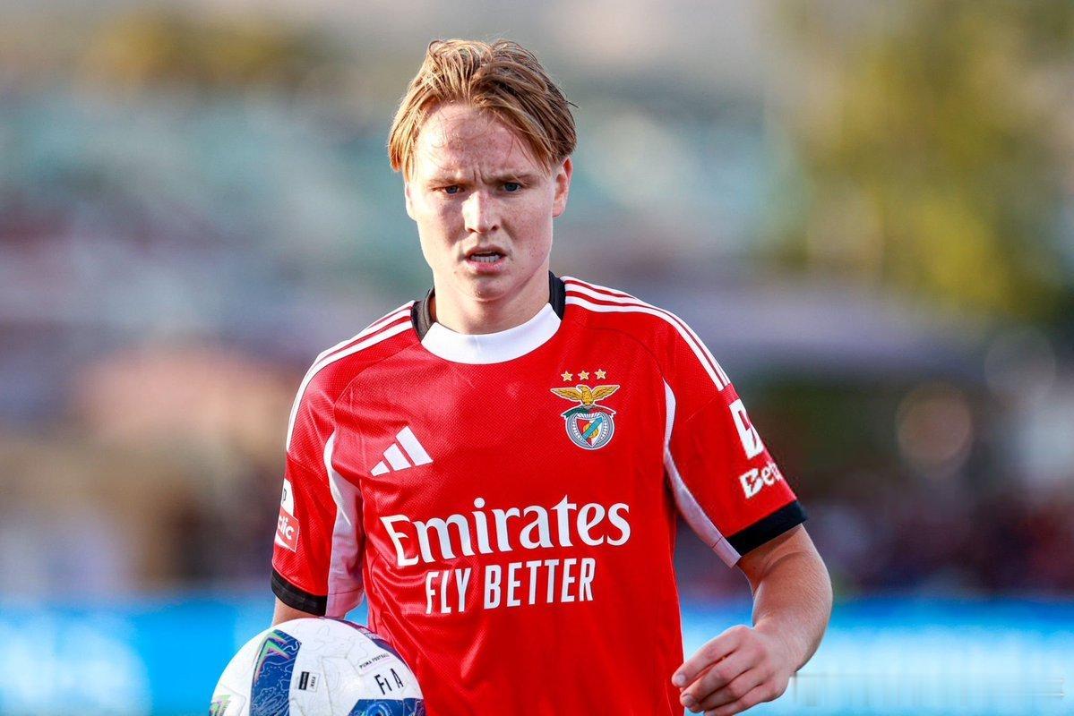 记录报：21岁的挪威国脚安德烈亚斯·施耶尔德鲁普因在19岁时分享一段涉及未成年人