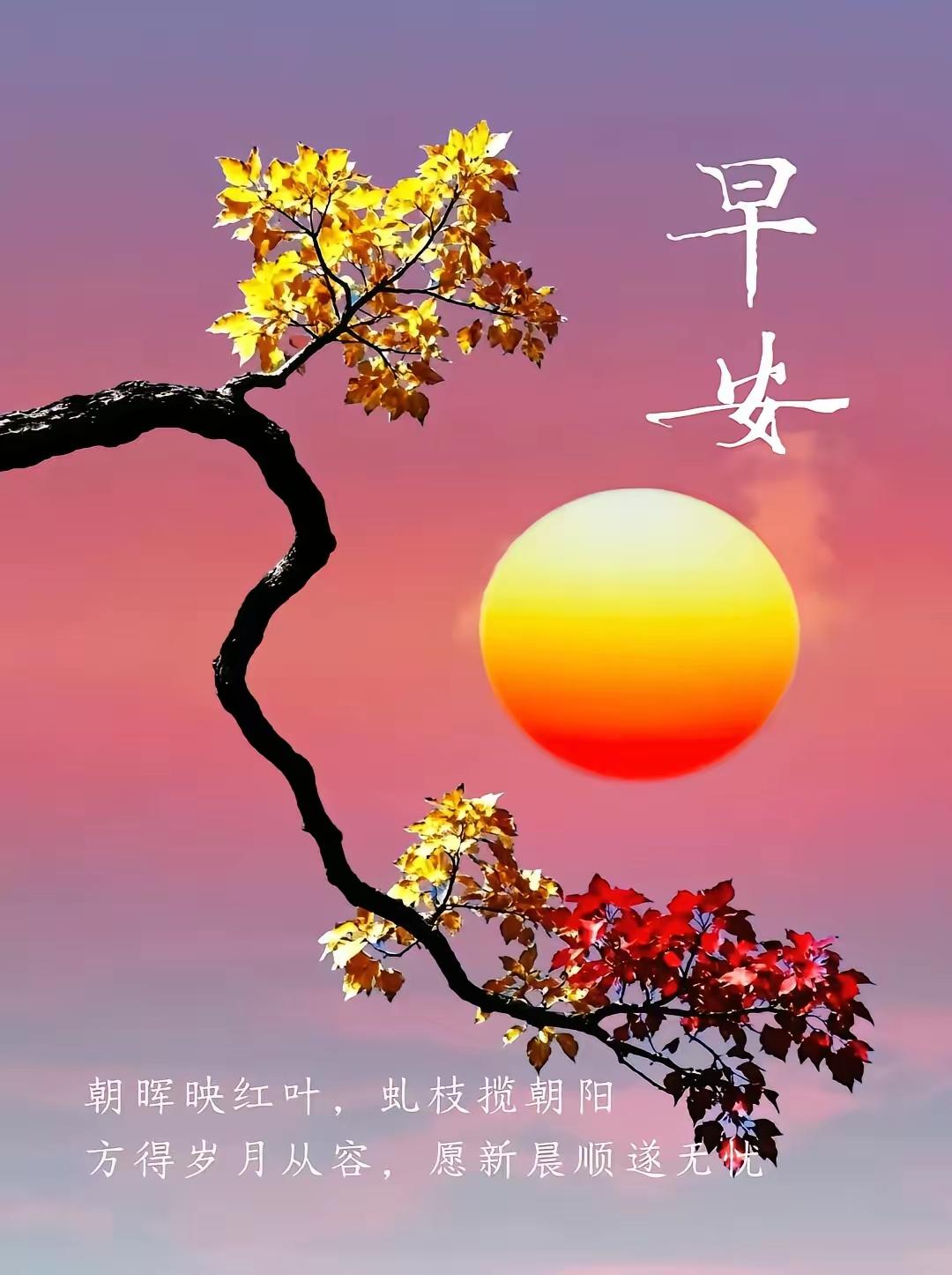 朝晖吻红叶，虬枝抱朝阳，早安时光！愿你新的一天岁月从容，万事顺遂无忧。