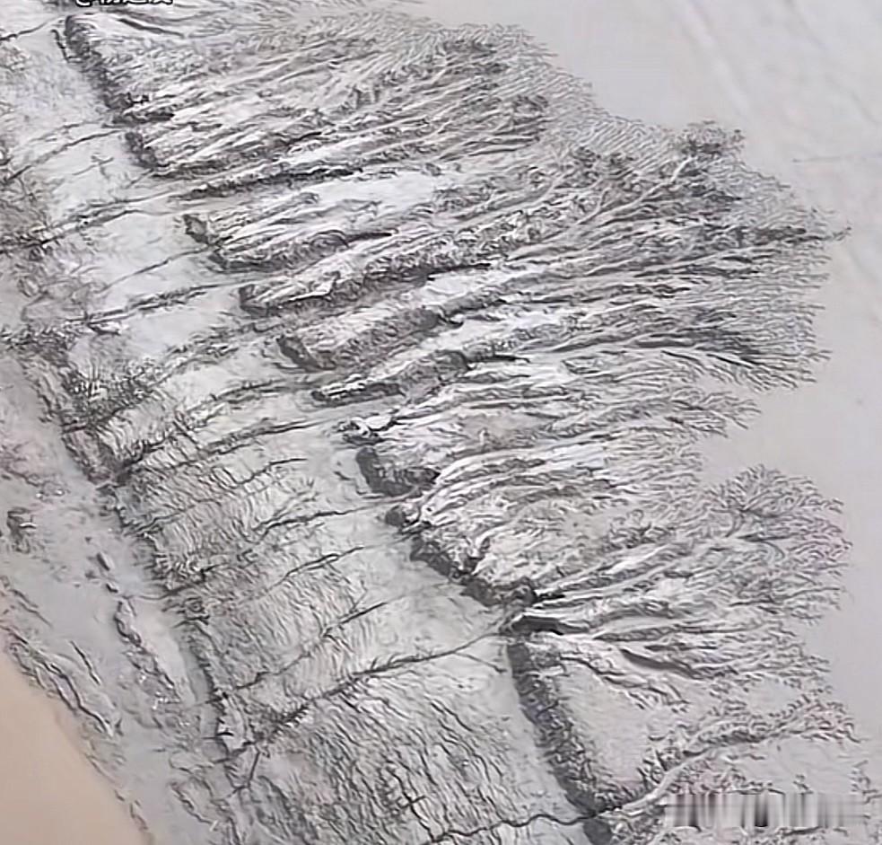 三门峡库区放水以后，黄河两岸出现的“大地之树”的图案，是不是很震撼。是不是很惊讶