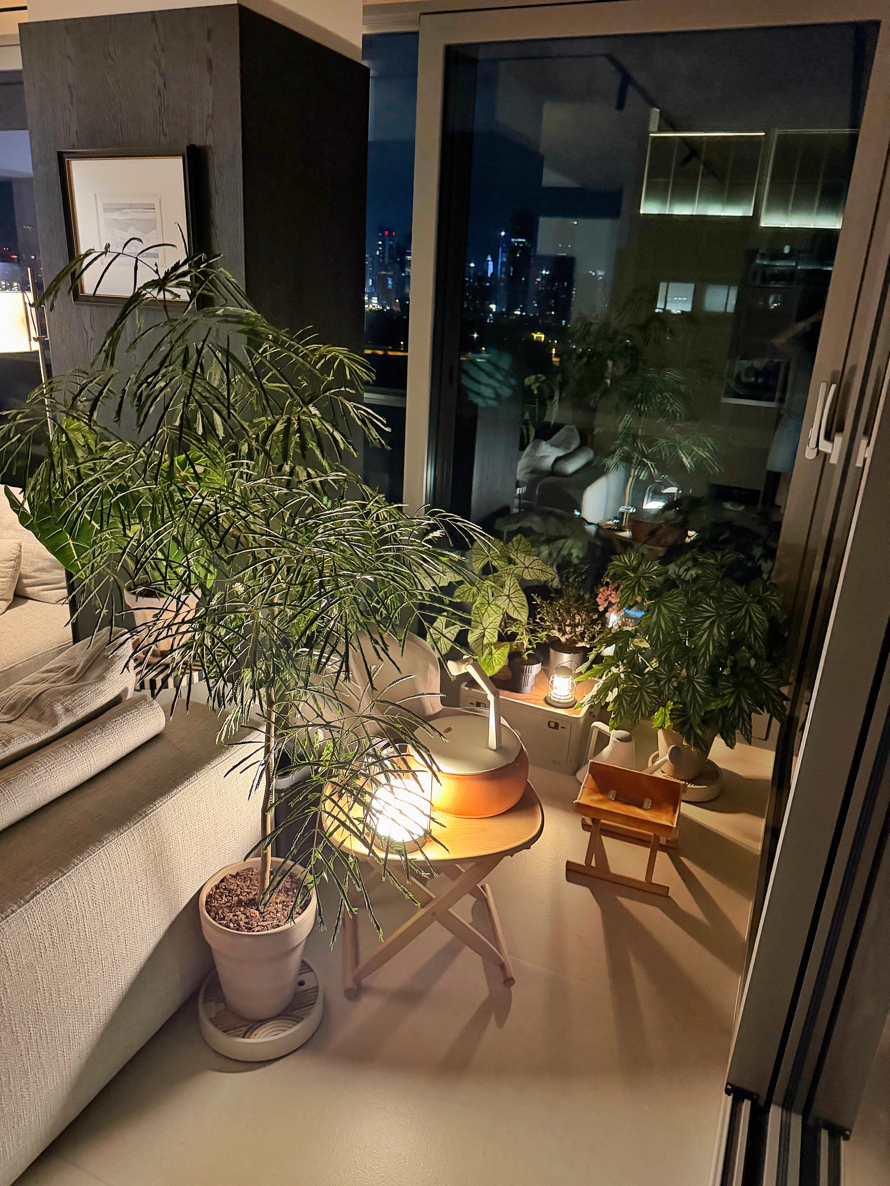 一个很很很安静的晚上。我们仨主打一个同频但互不打扰，客厅里放着歌，大家各忙各的。