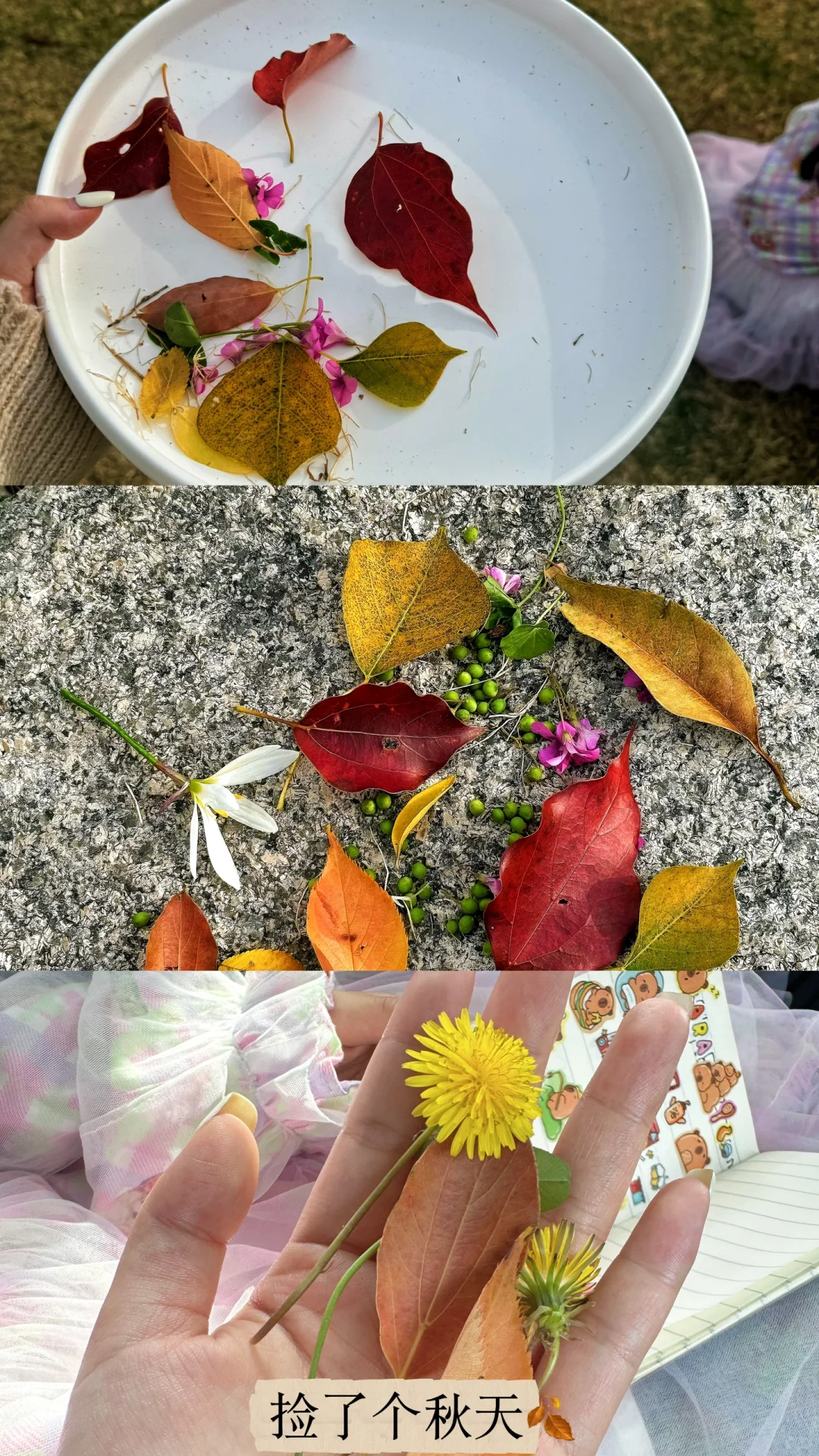 捡秋🍂｜好喜欢秋天啊