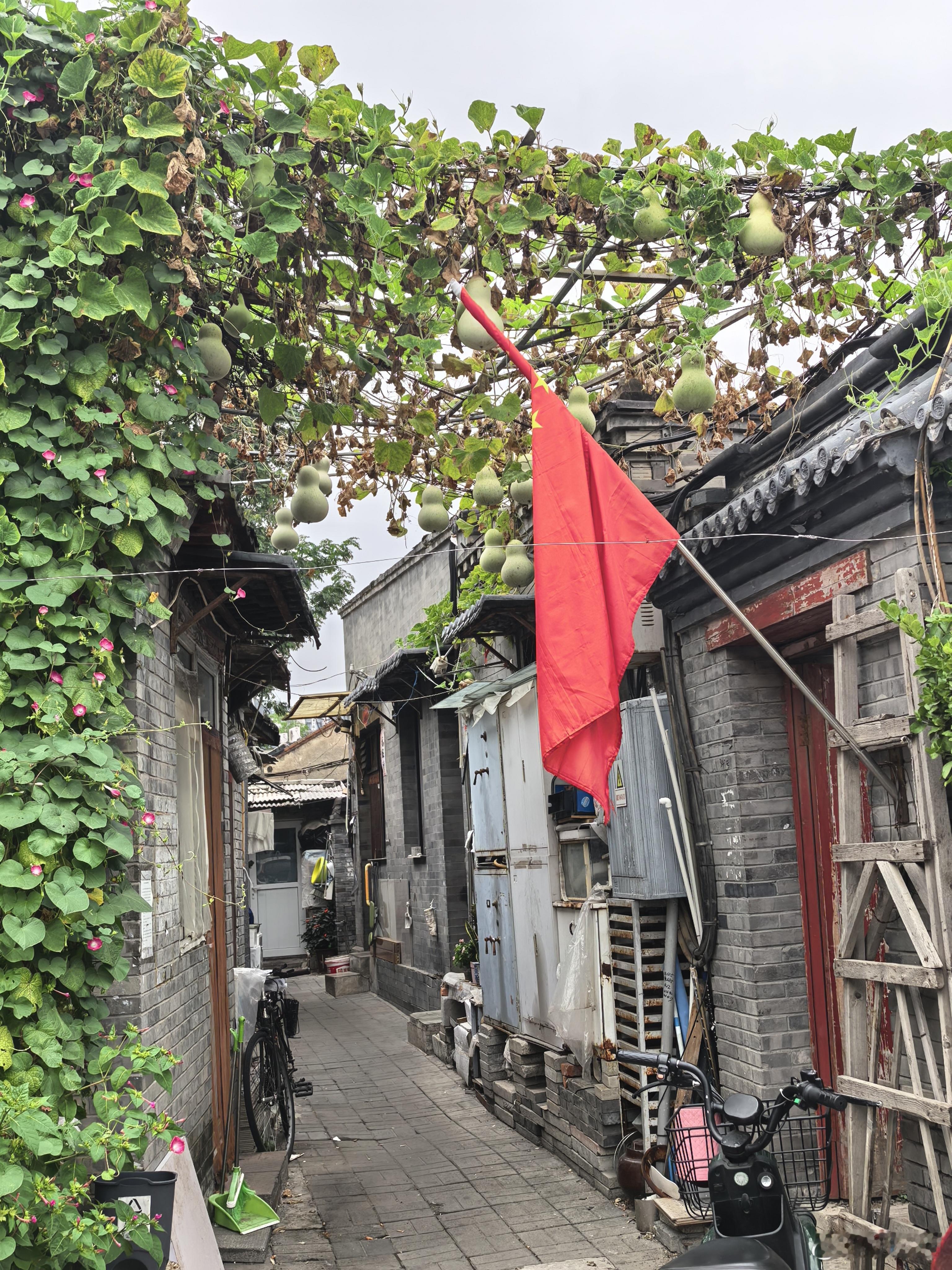 这是一户懂生活的人家！ ​​​