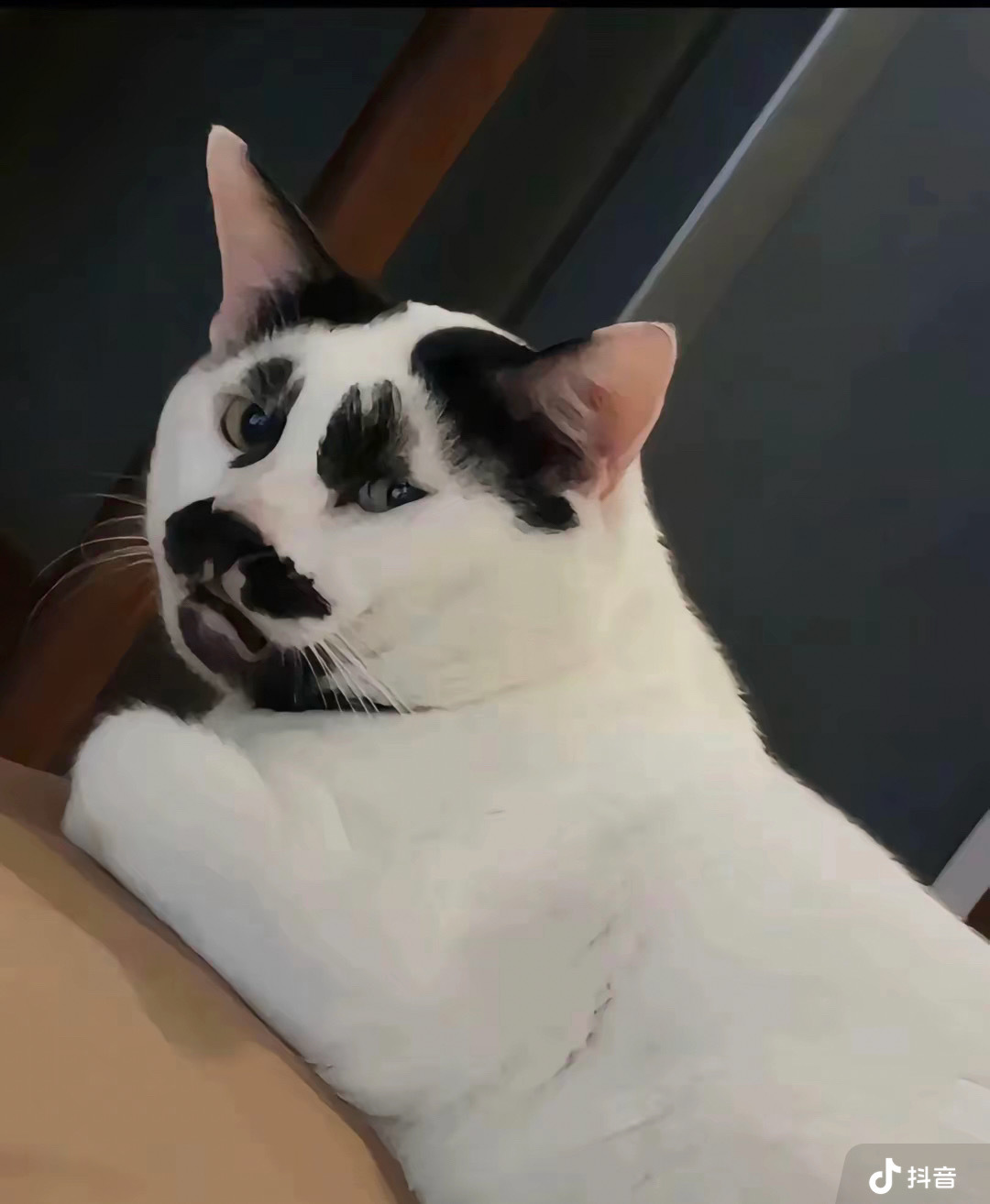 晚安 
