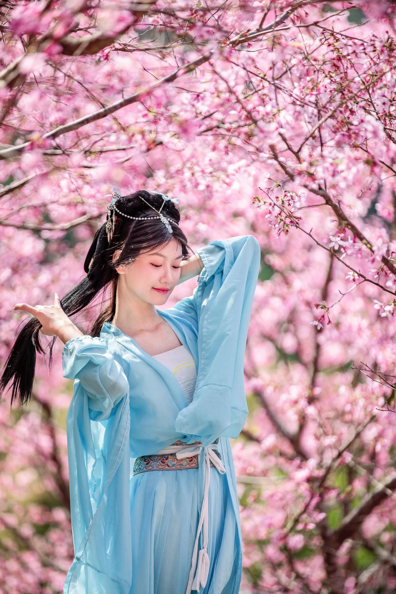 美女在樱花雨中宛若一尘不染的花仙子。摄于广东省新兴县天露山景区樱花园。