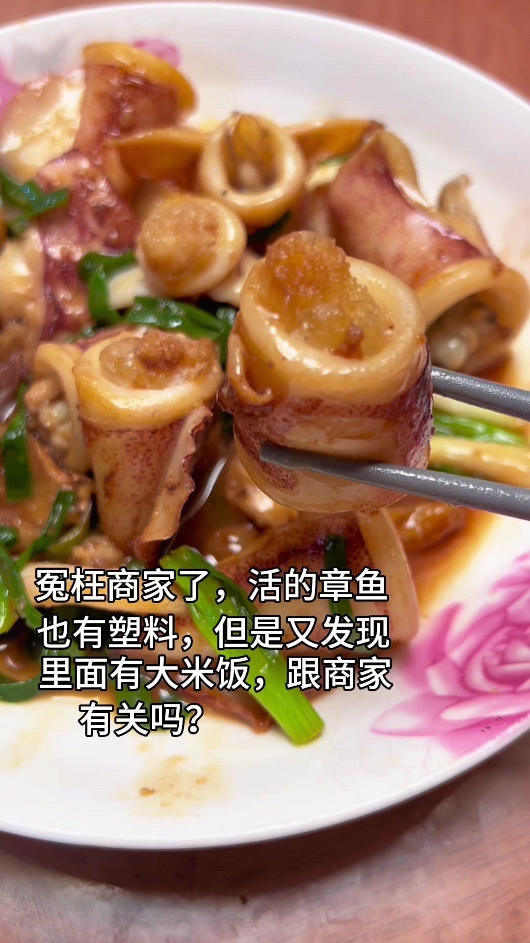 章鱼里的大米饭？我要撤销投诉吗？家人们买的章鱼里竟然又出现大米饭了，这到底是怎么